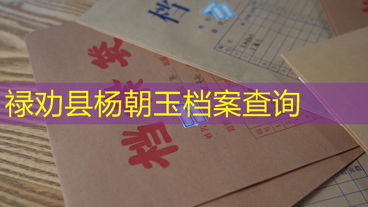 档案查询