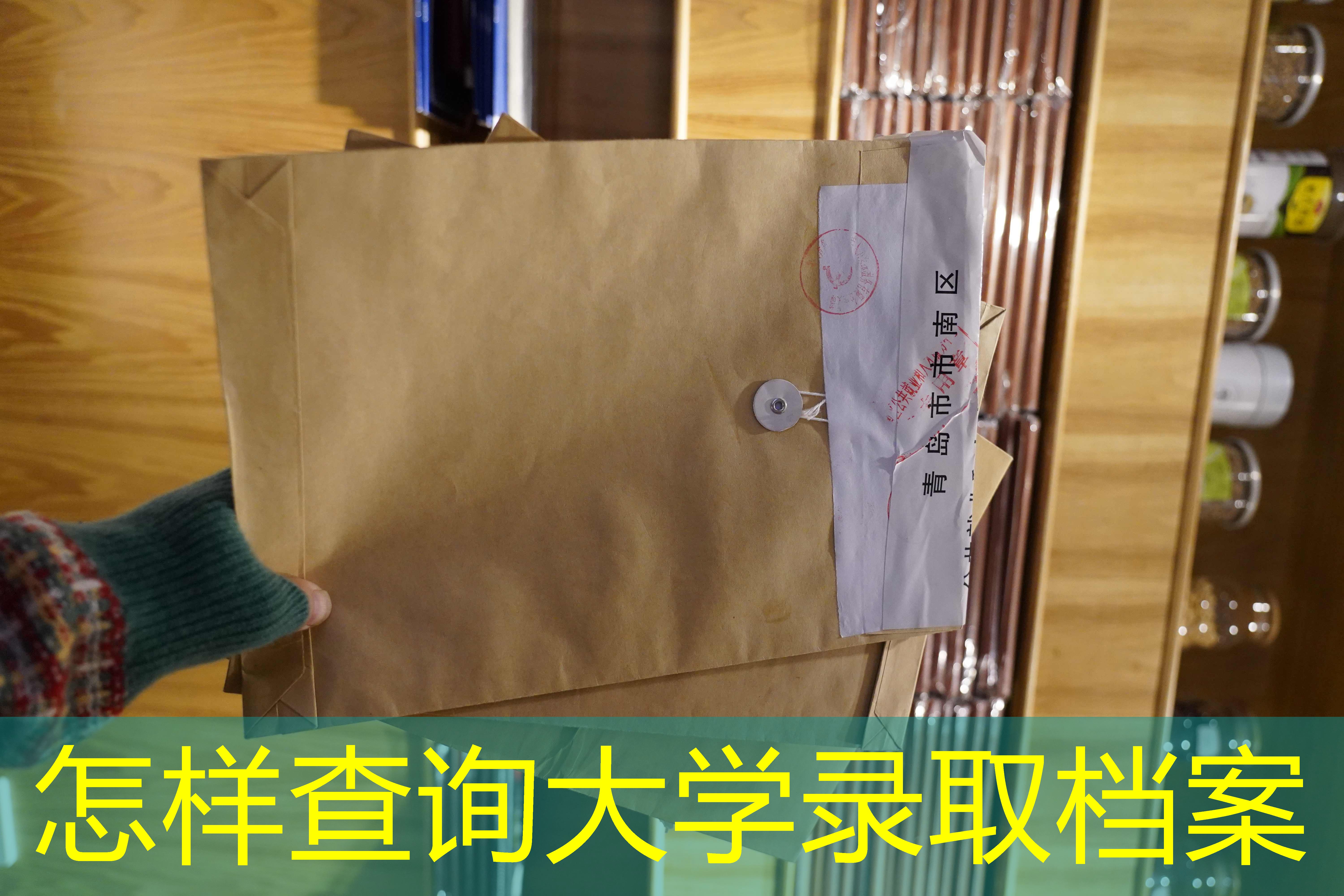 档案查询