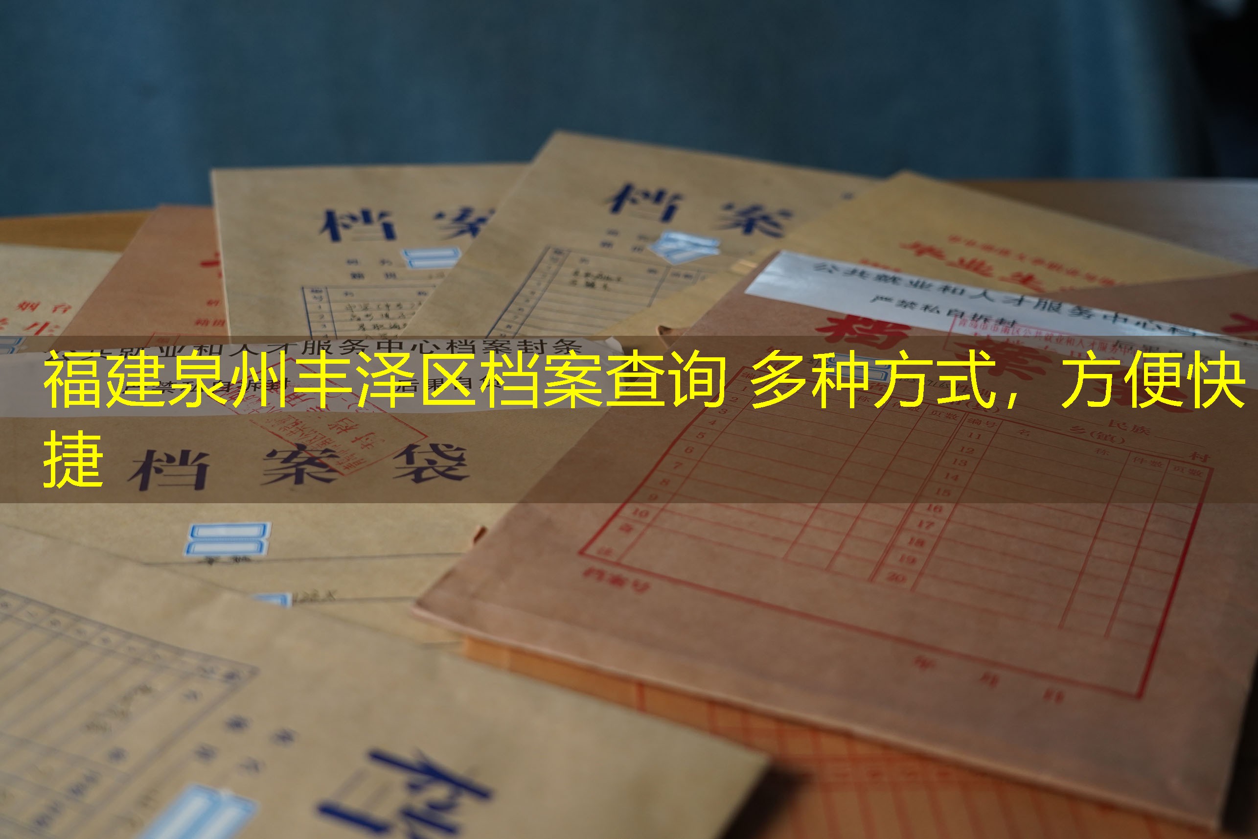 档案查询