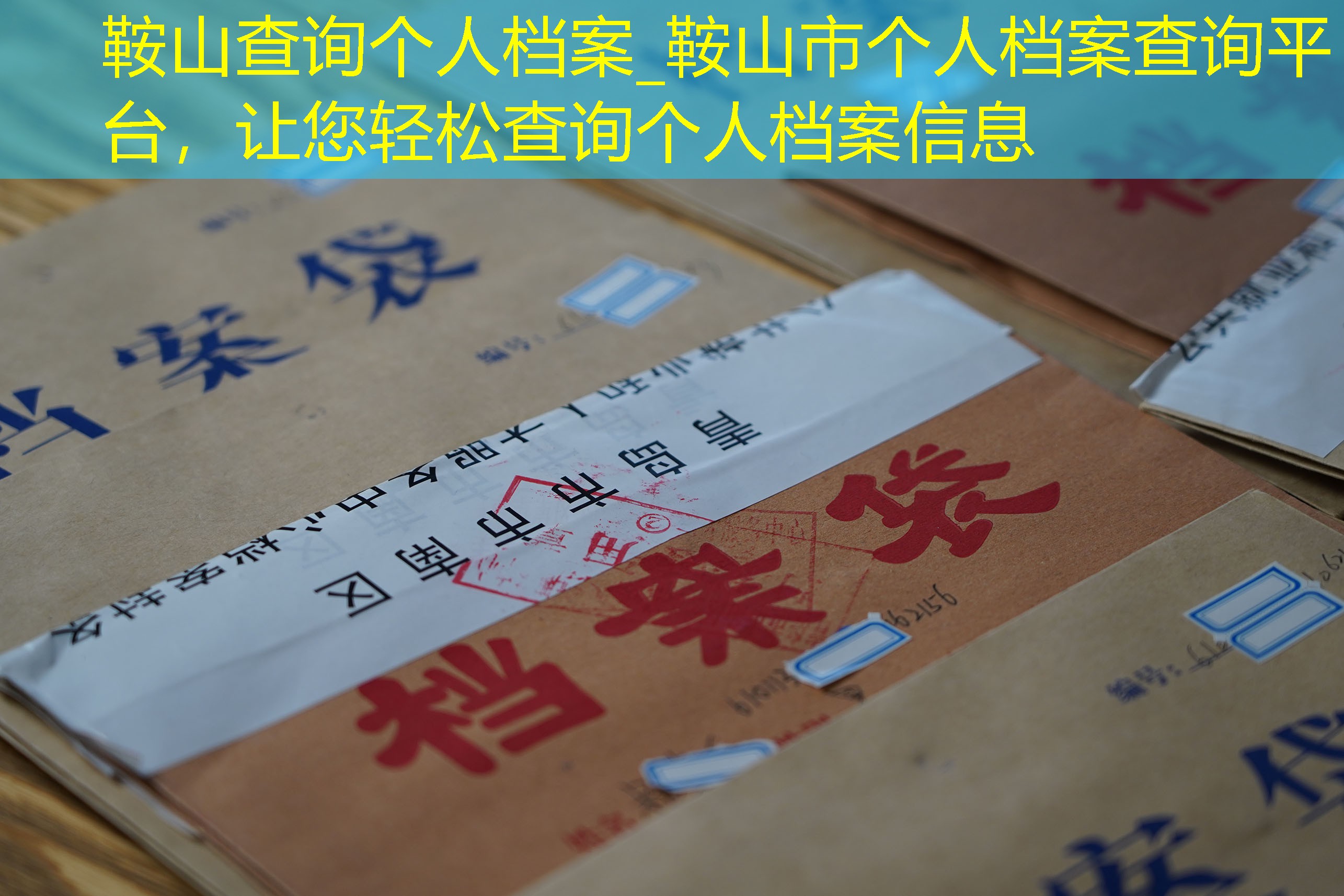 档案查询