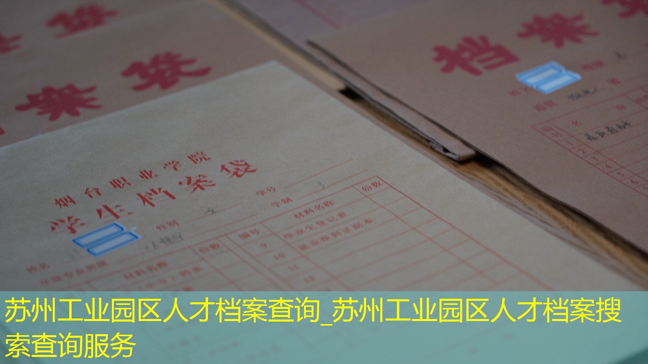 档案查询