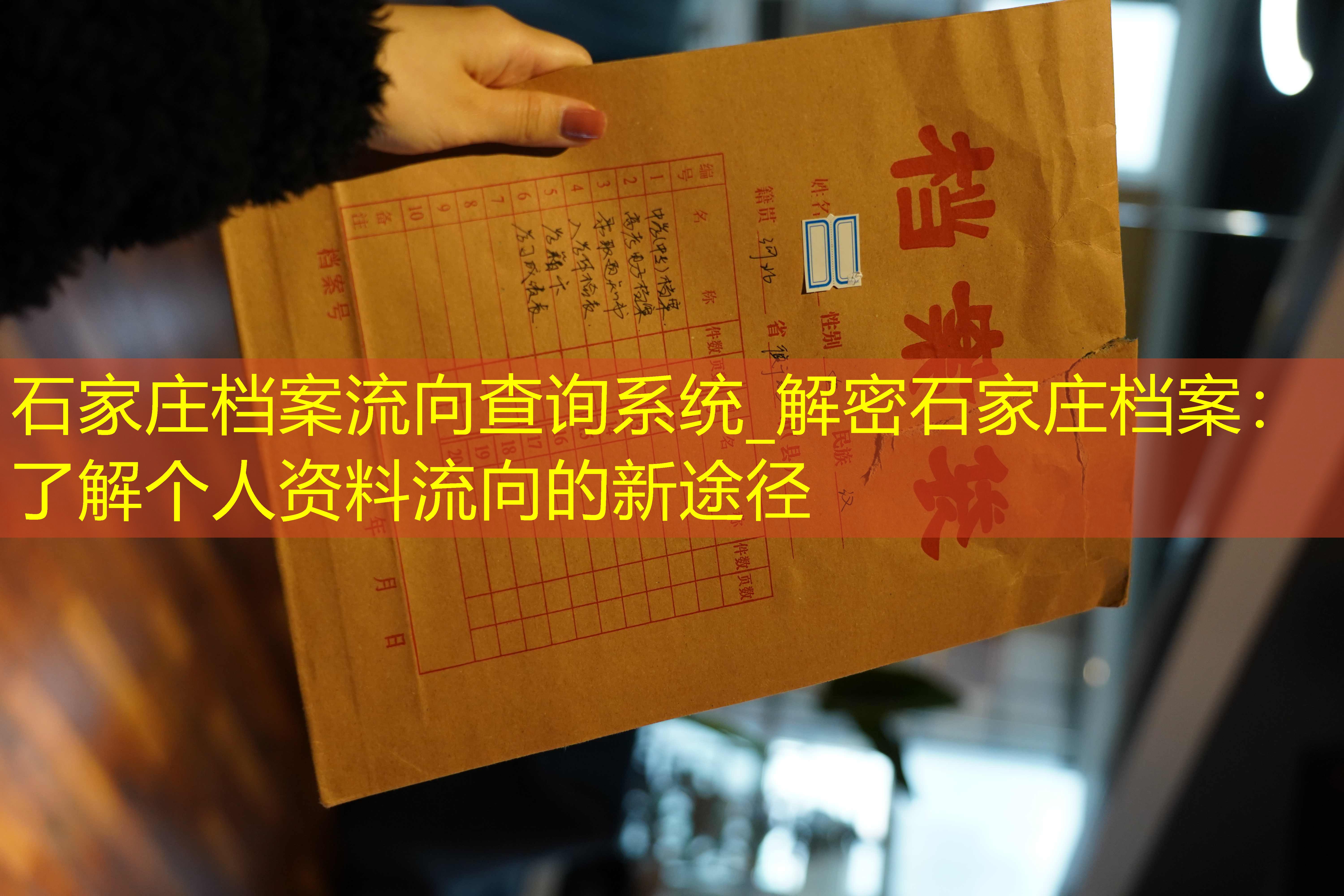 档案查询