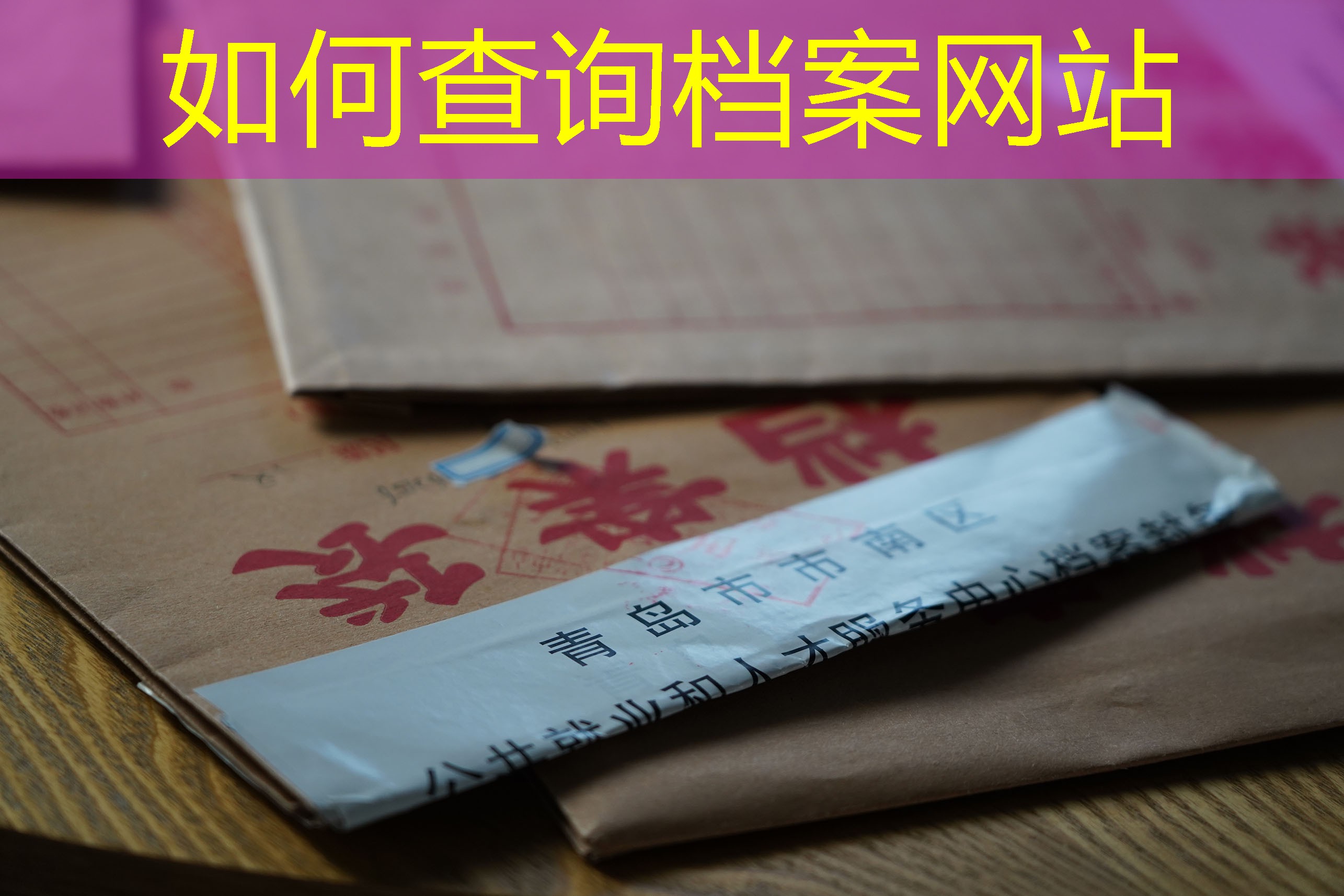 档案查询