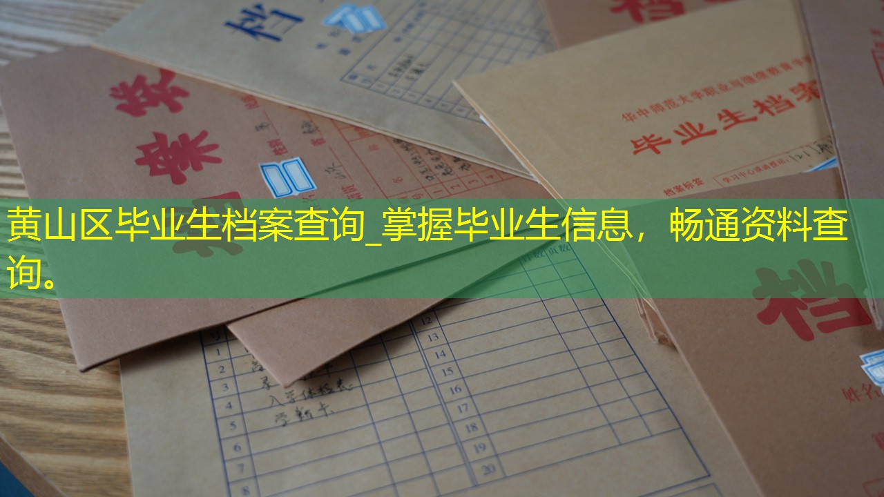 档案查询