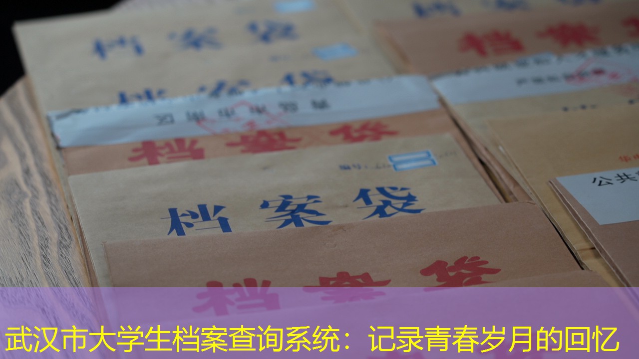 档案查询
