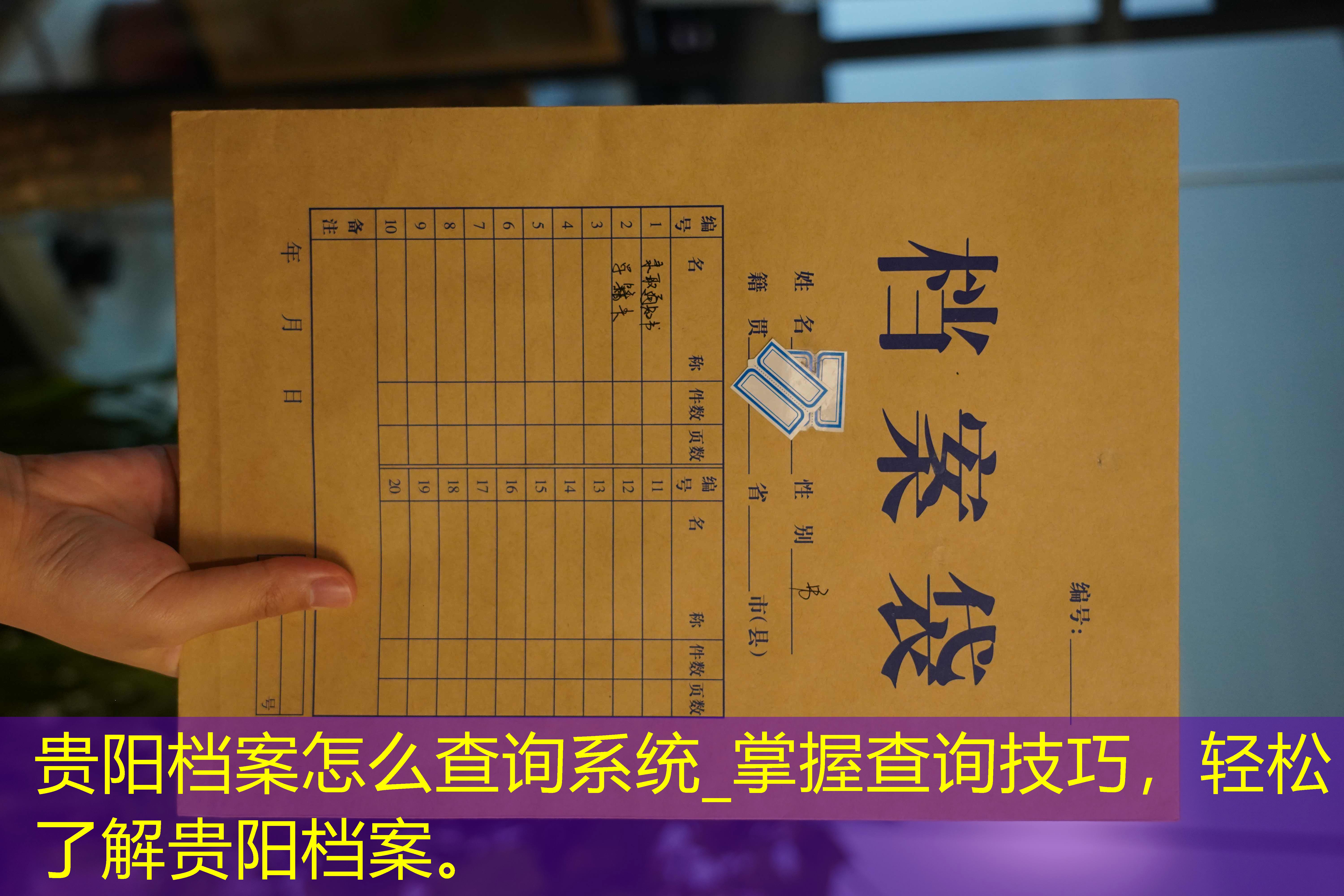 档案查询