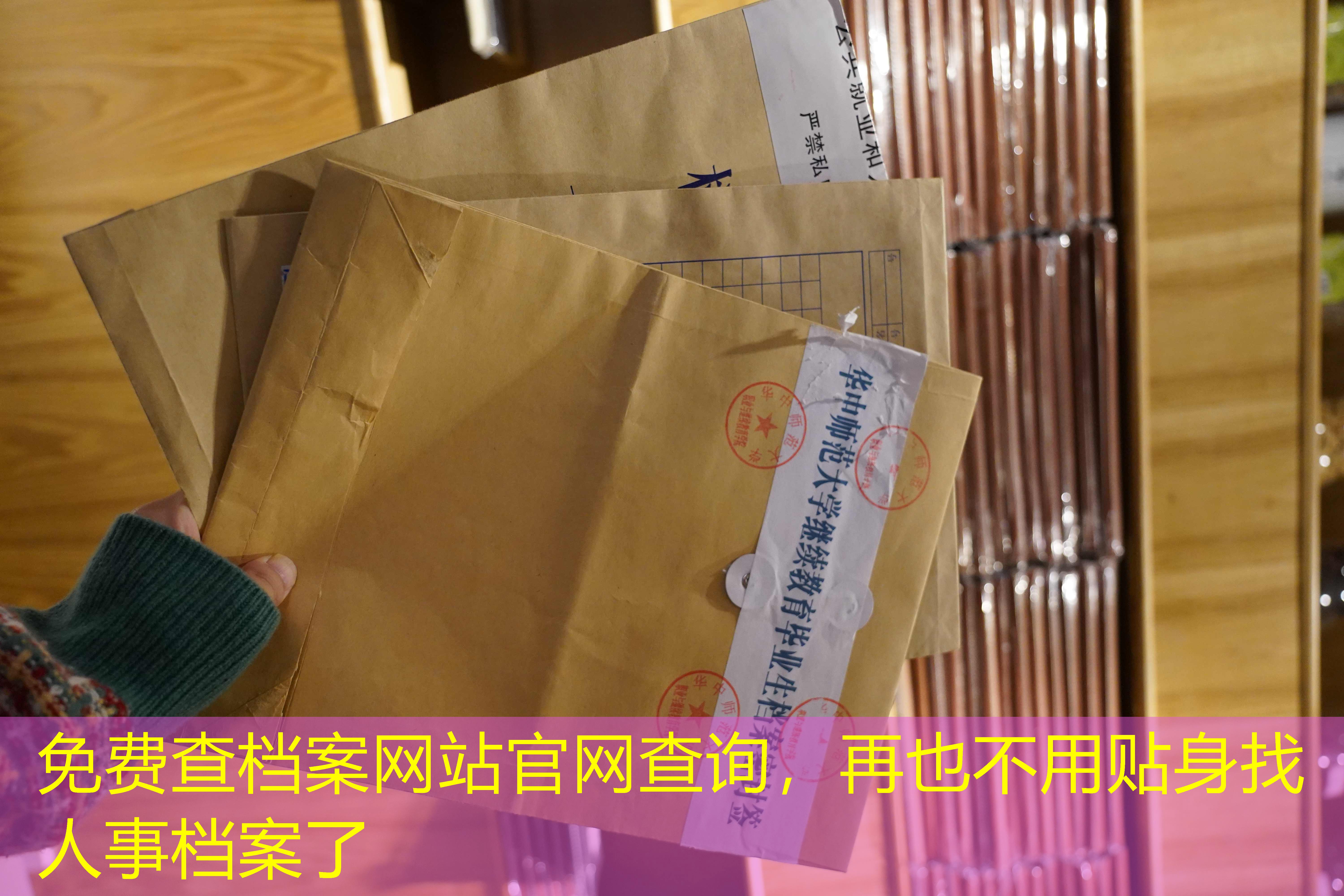 档案查询