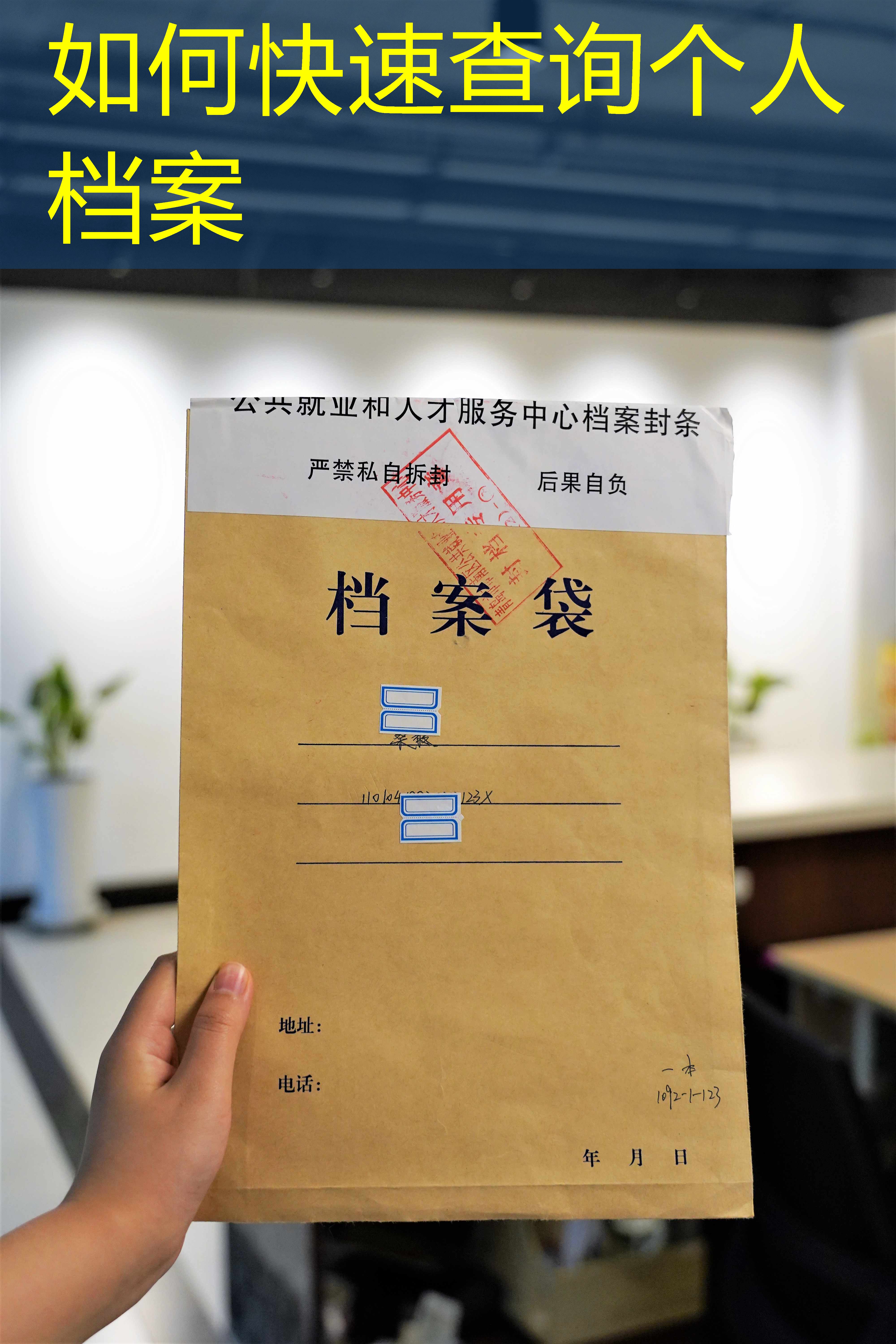 档案查询