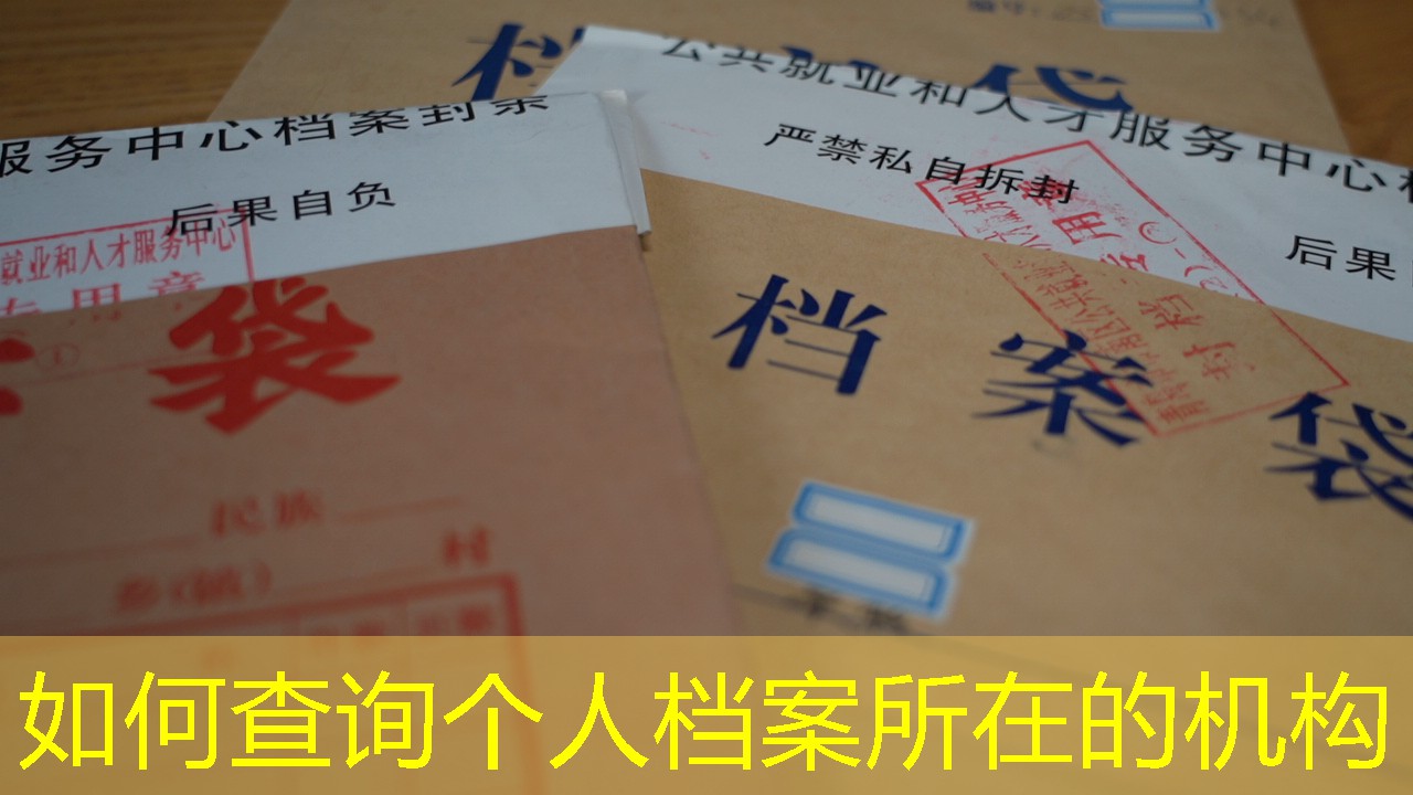 档案查询