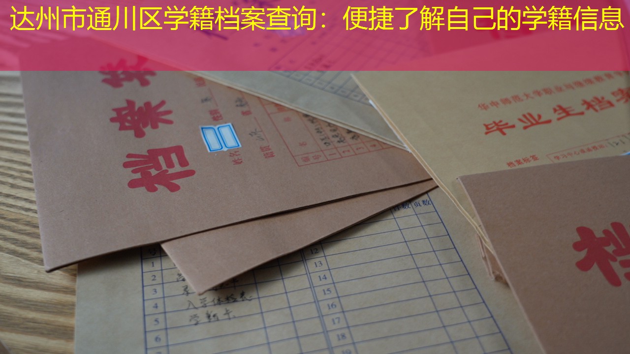 档案查询