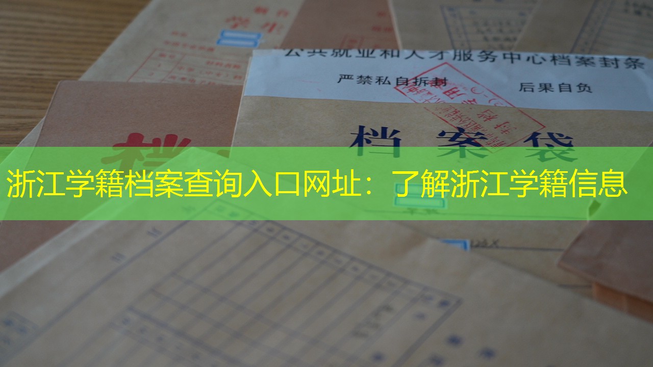 档案查询