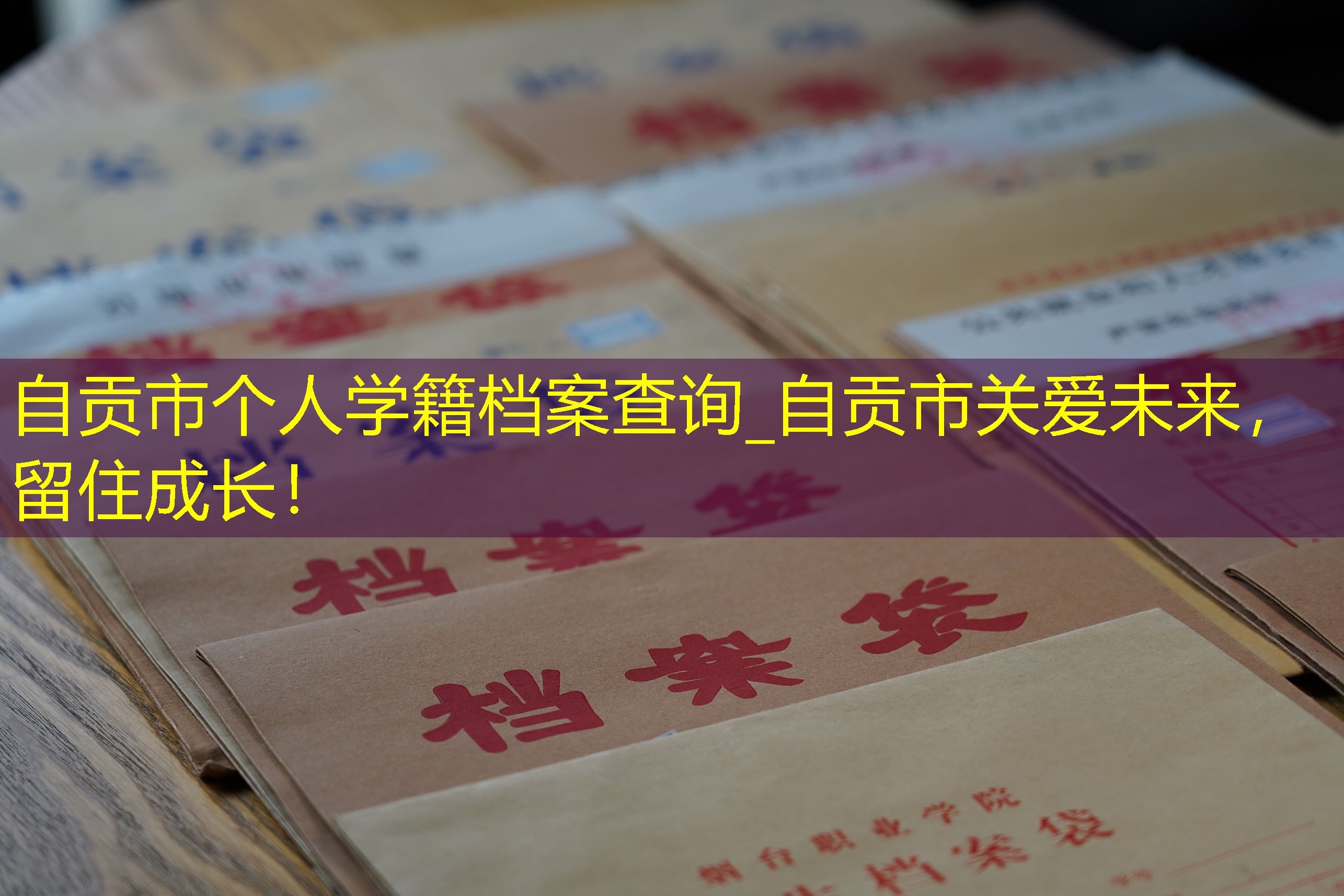 档案查询