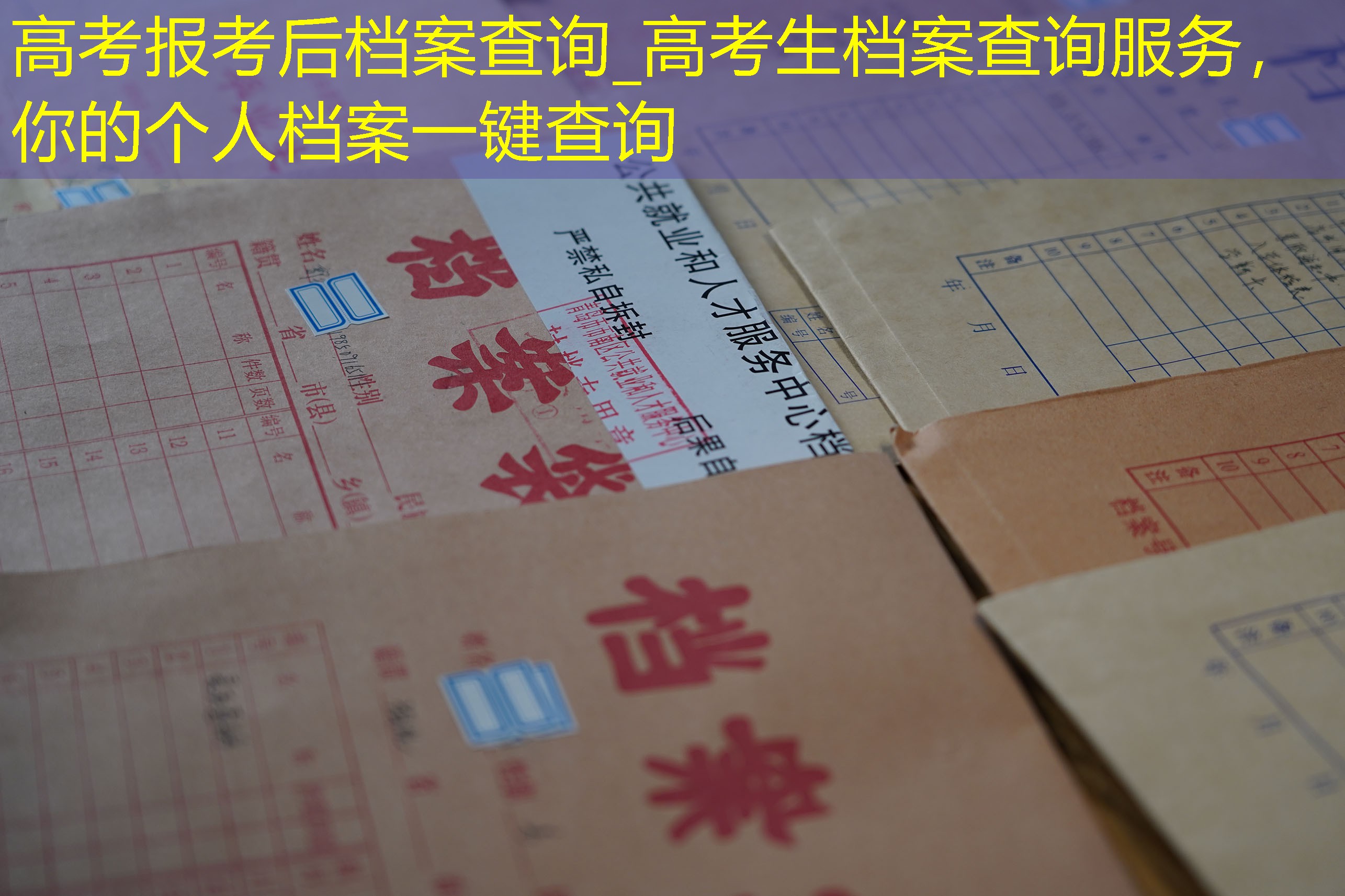 档案查询