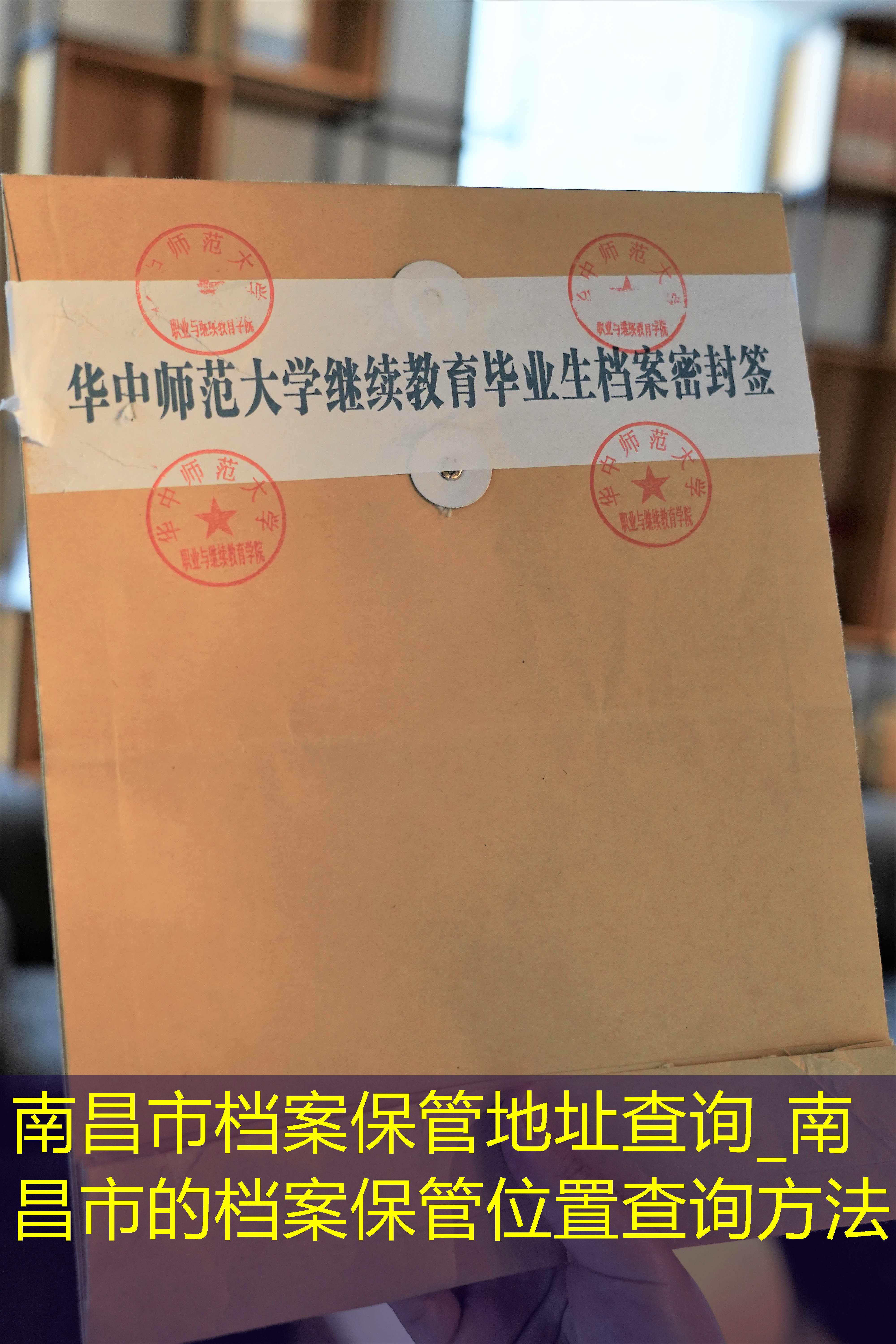 档案查询