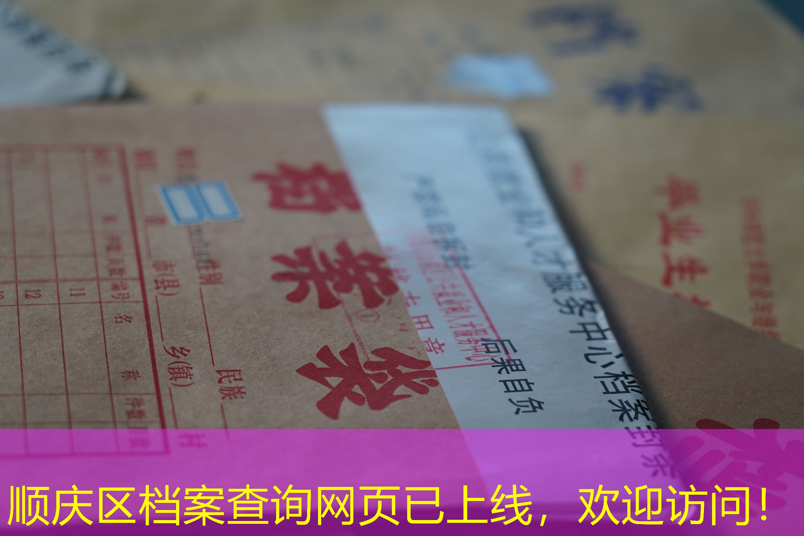 档案查询