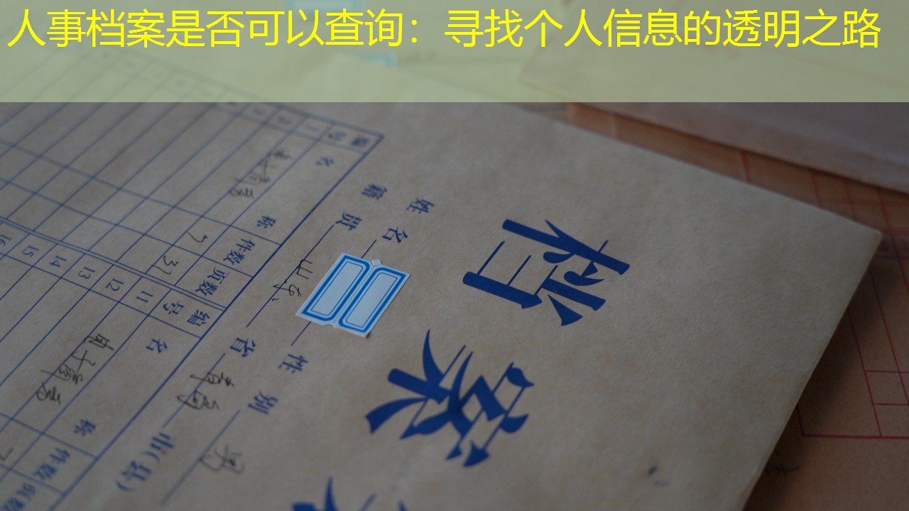 档案查询
