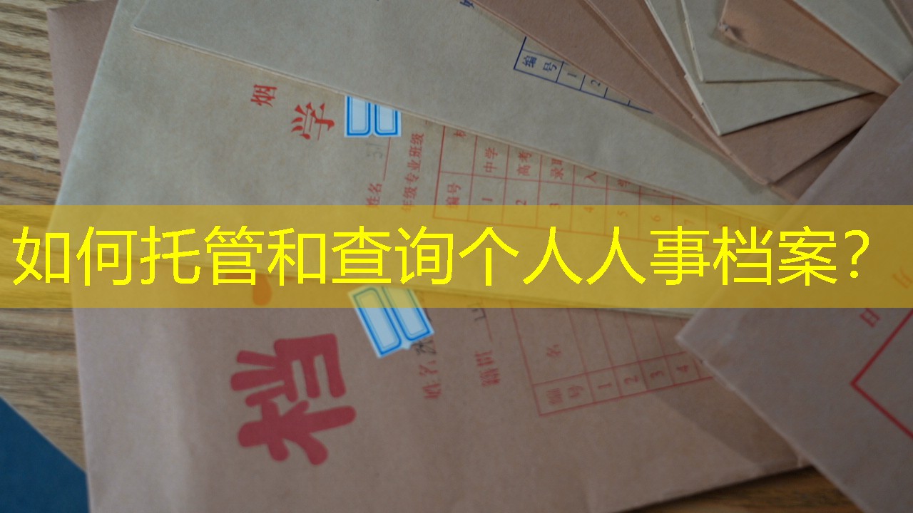 档案查询