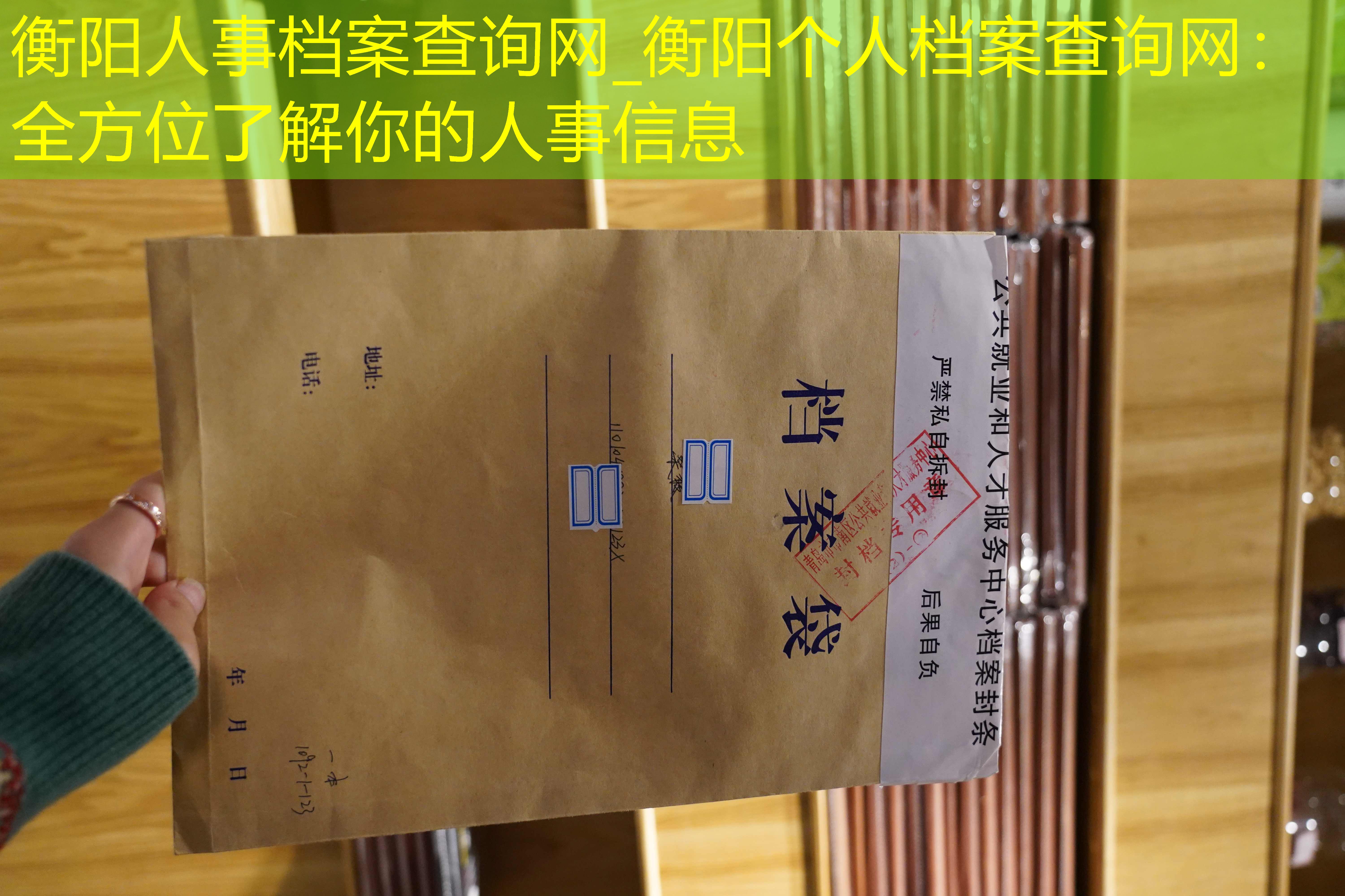 档案查询