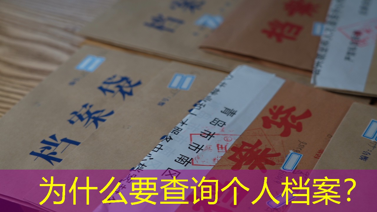 档案查询