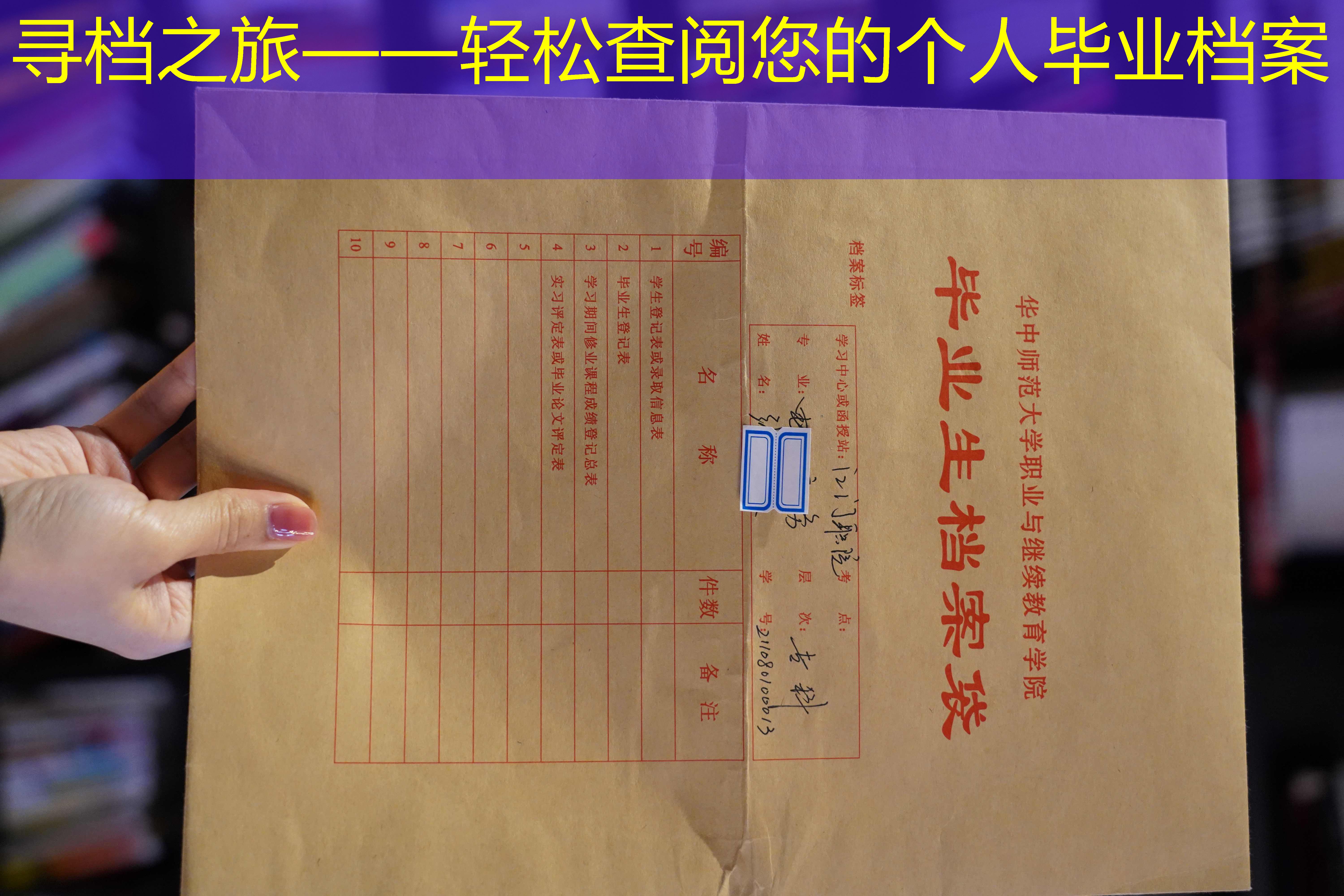 档案查询