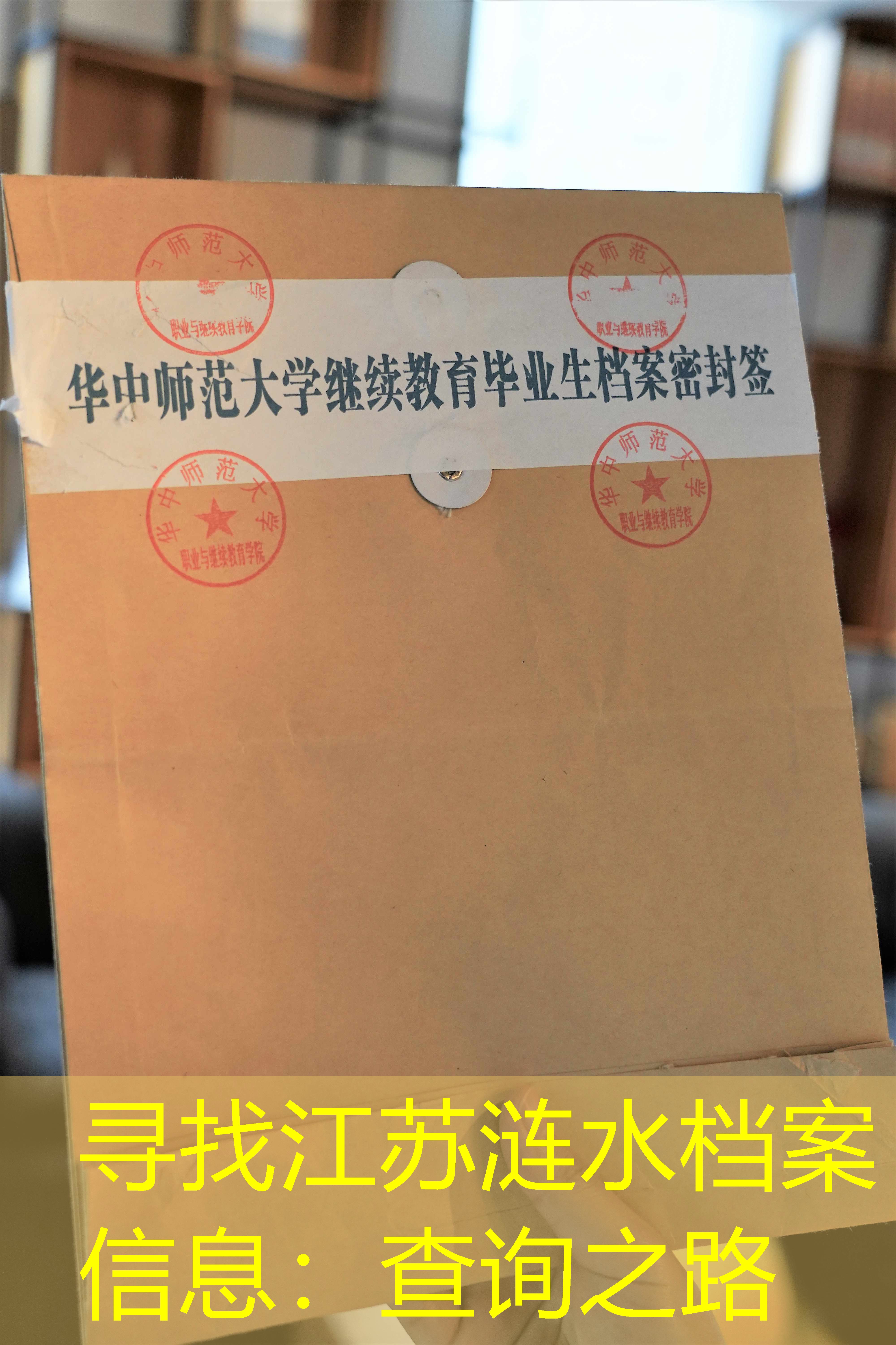 档案查询