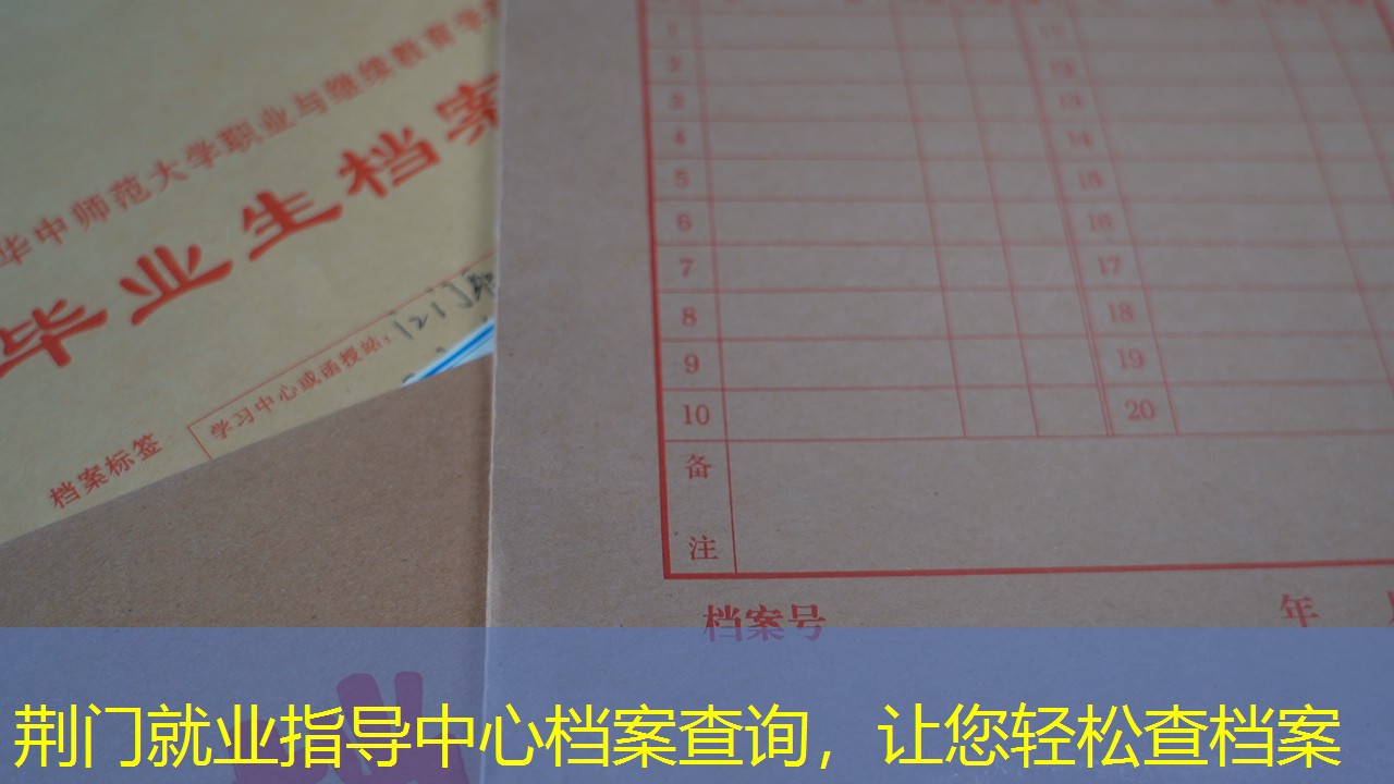 档案查询