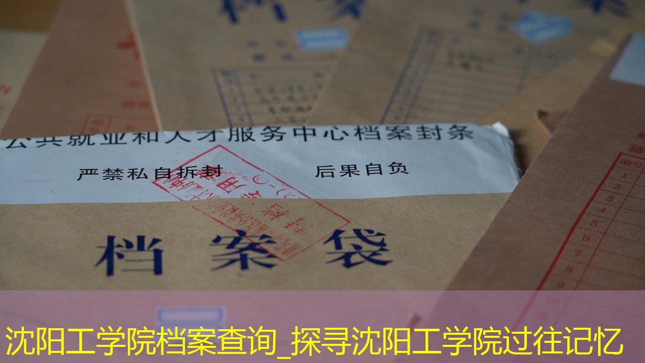 档案查询
