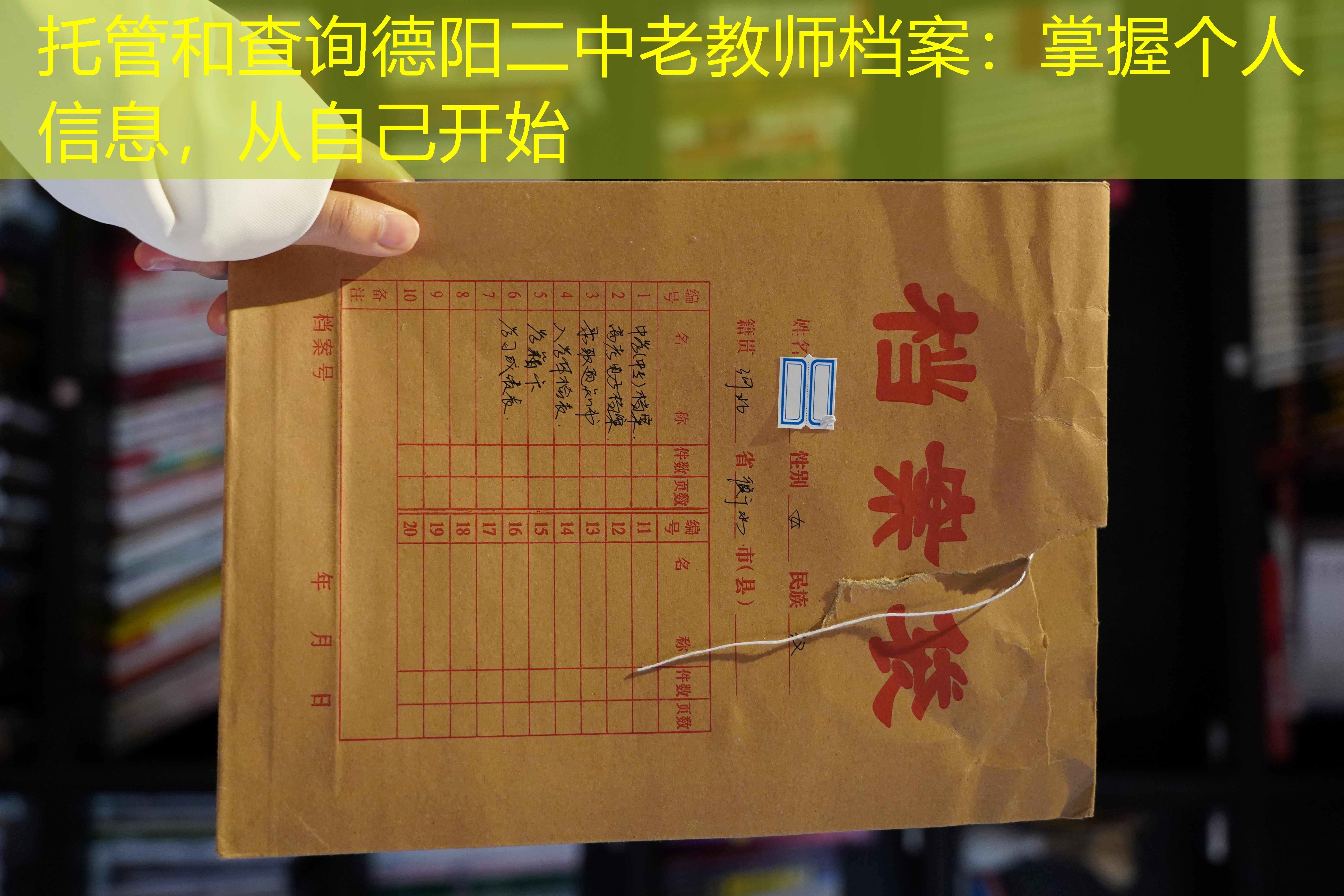 档案查询