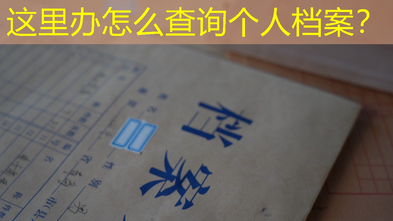 档案查询