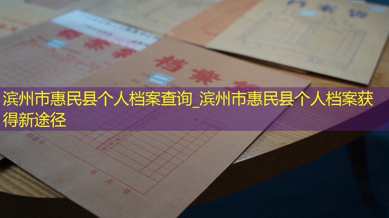 档案查询