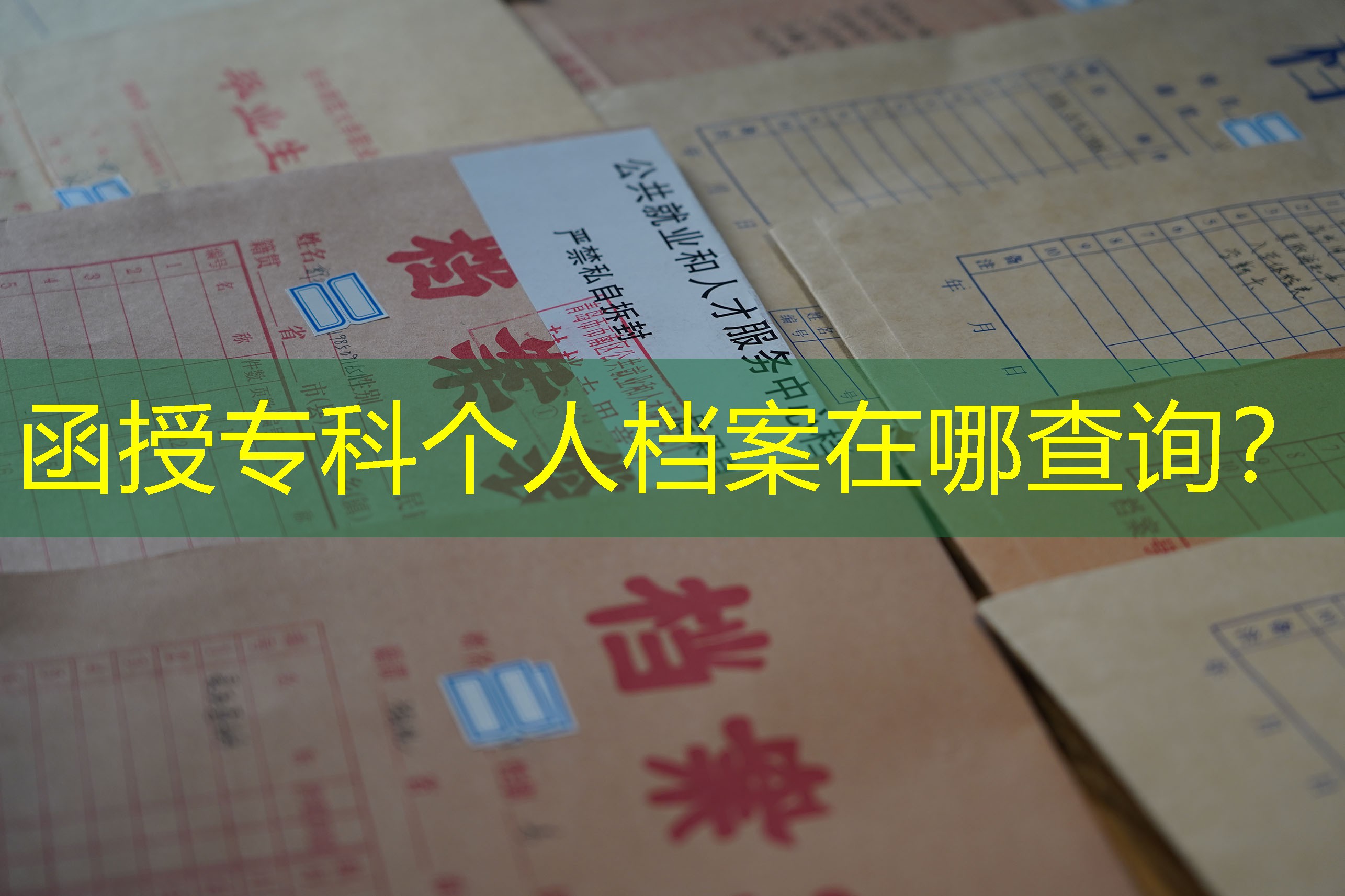 档案查询