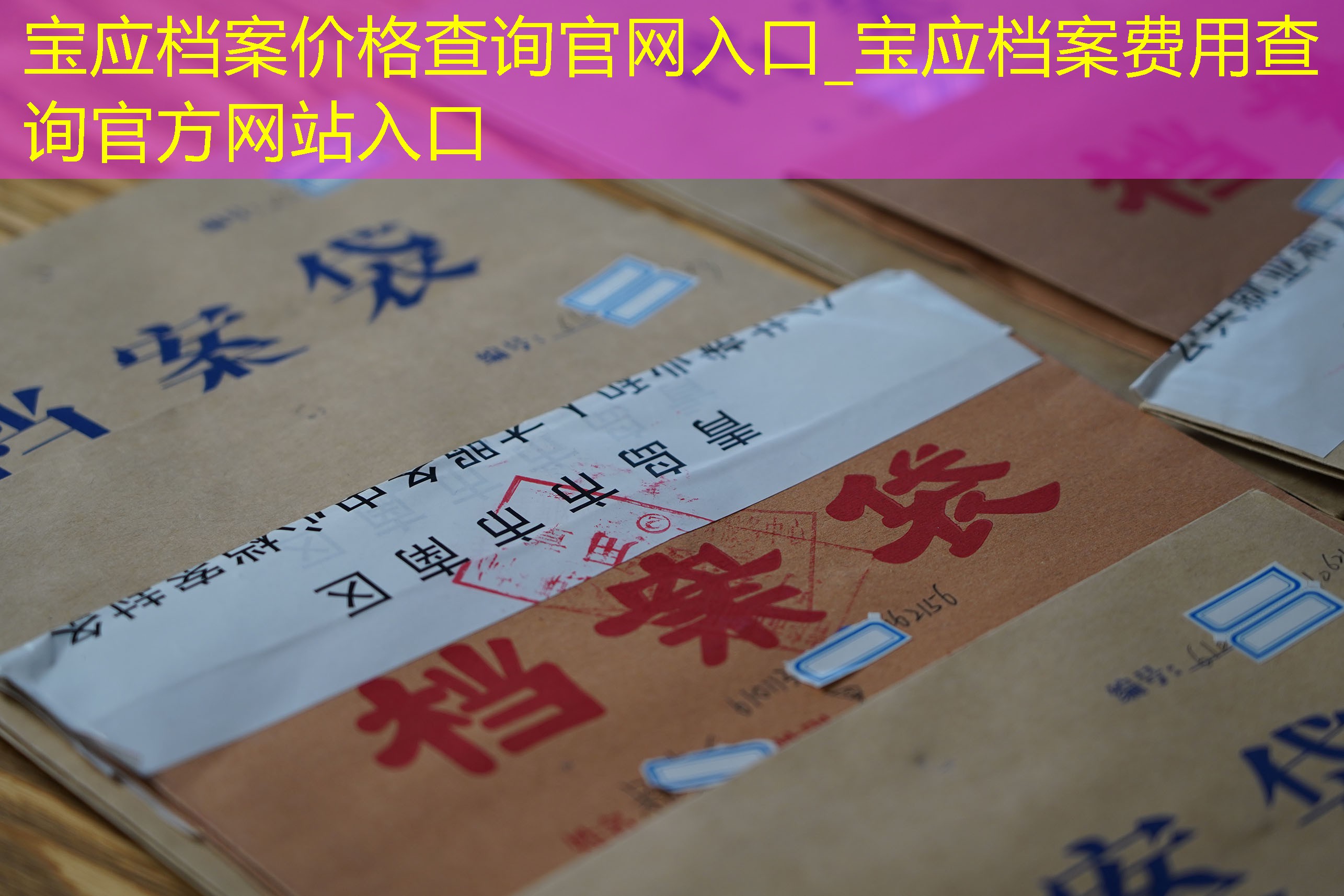 档案查询