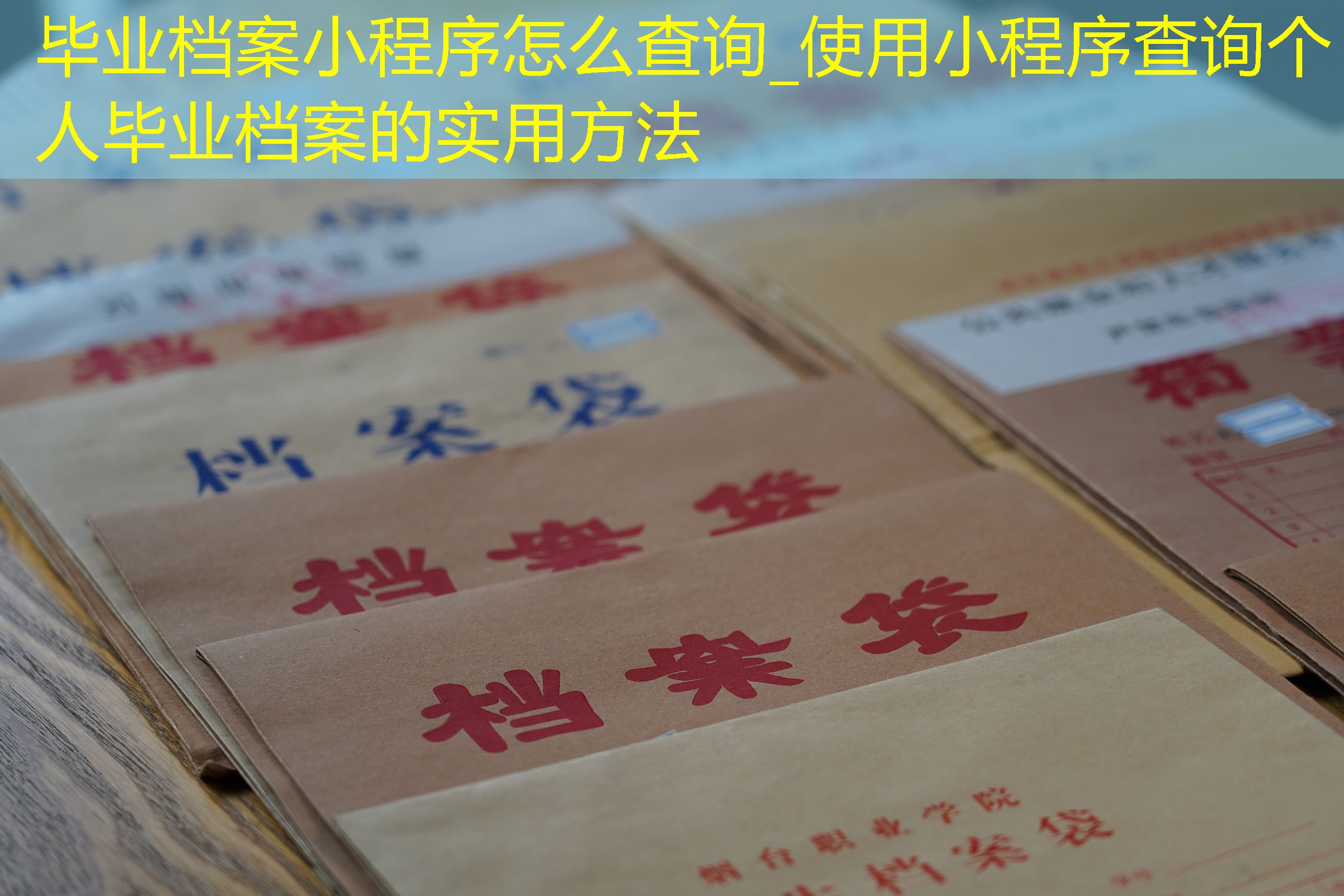 档案查询