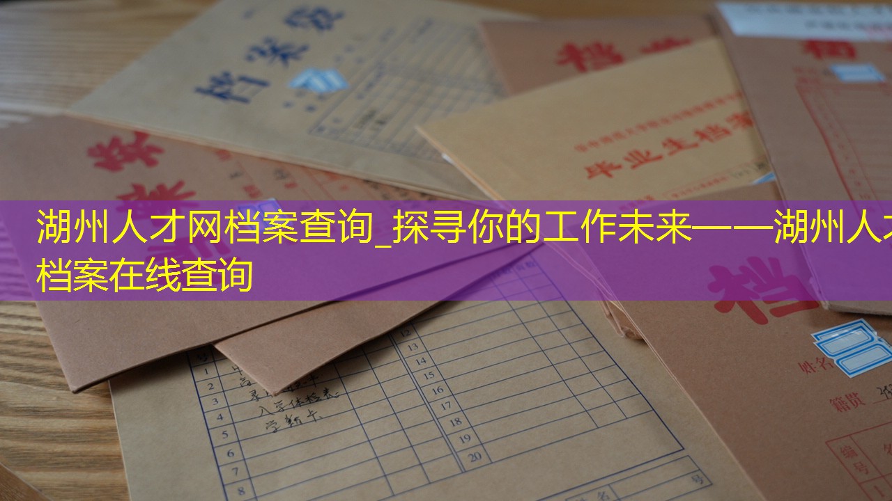 档案查询