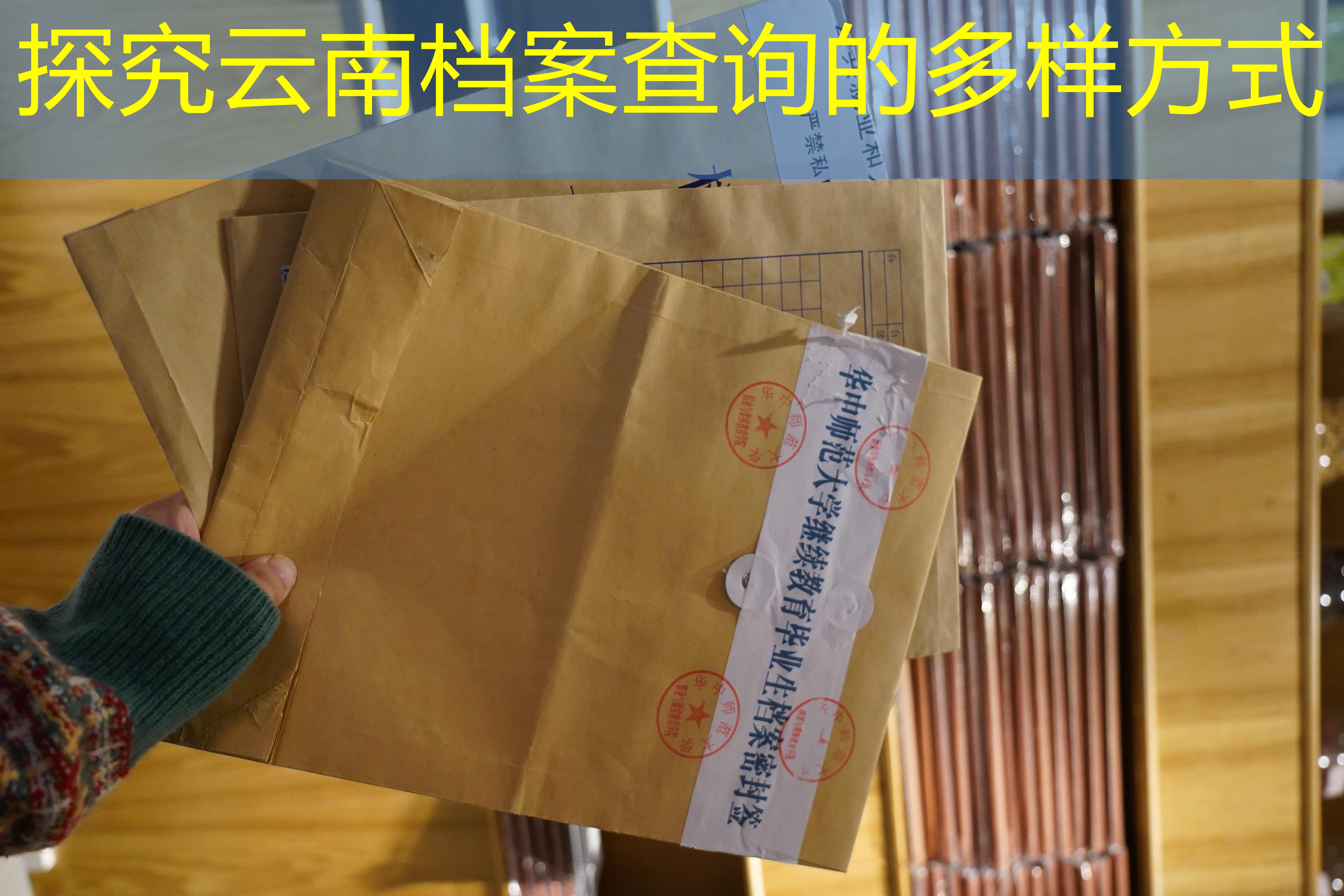档案查询
