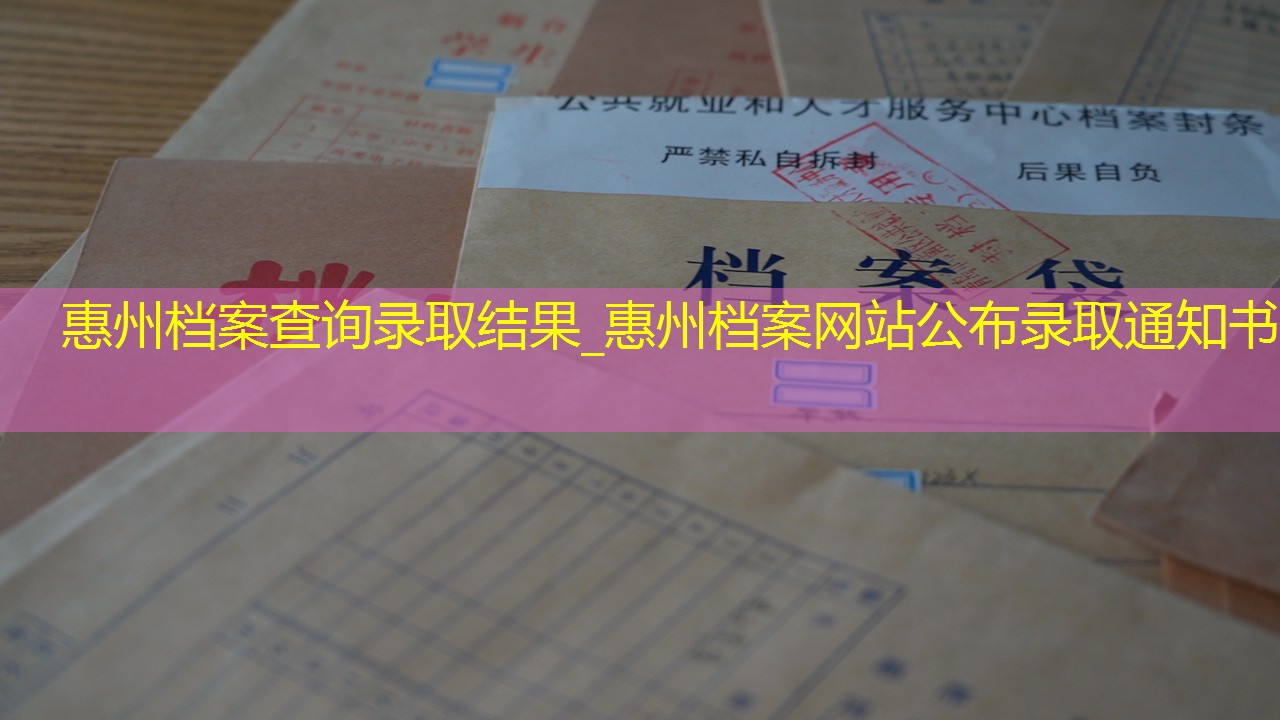 档案查询