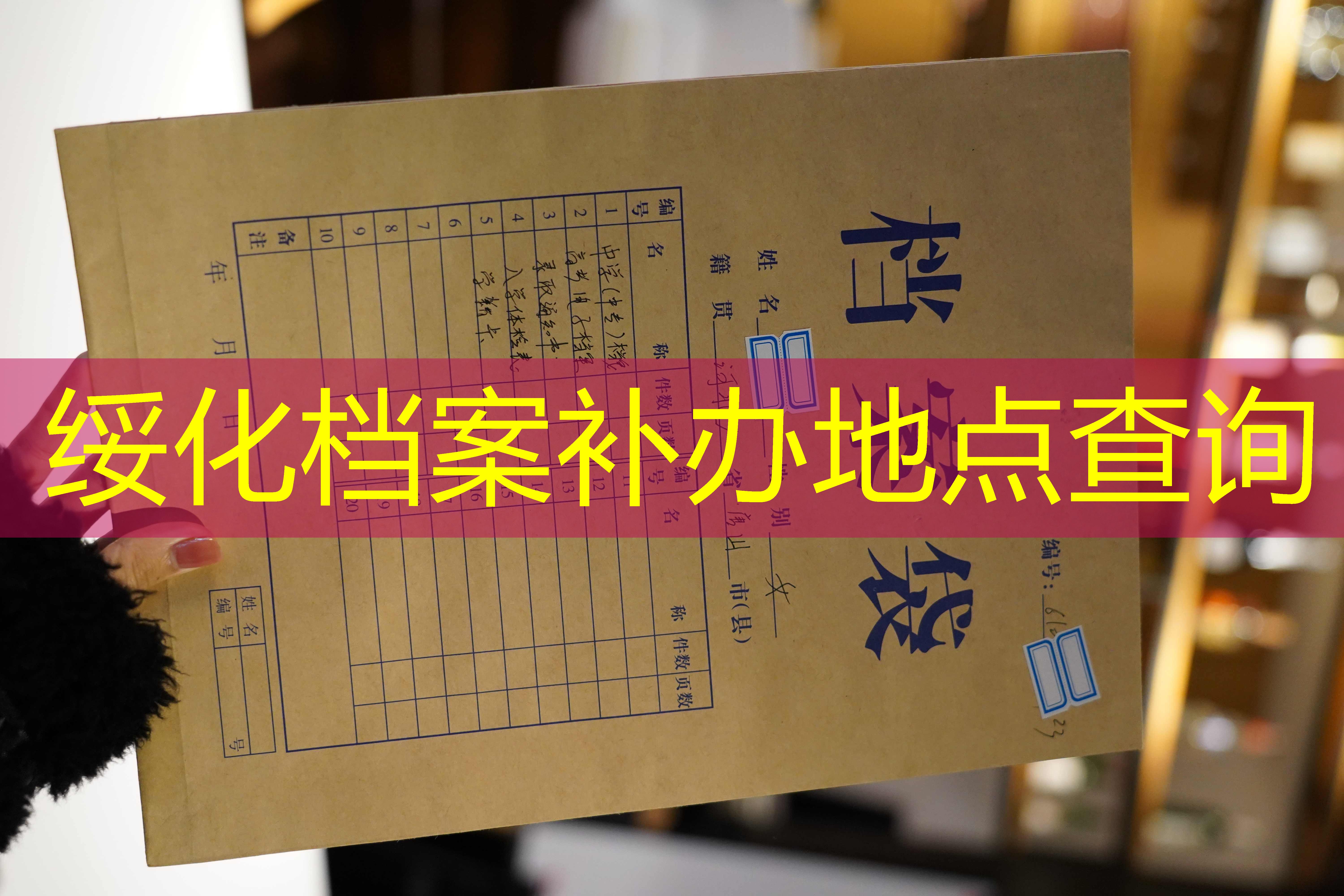 档案查询