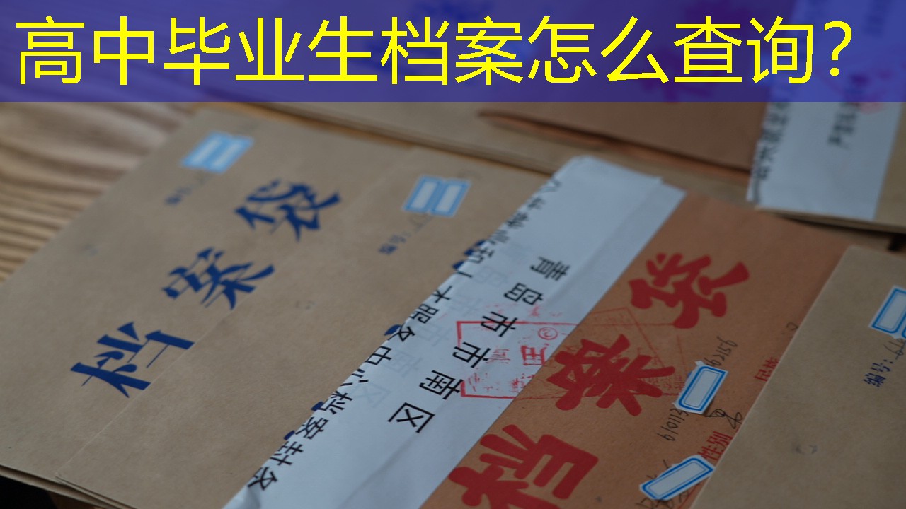 档案查询