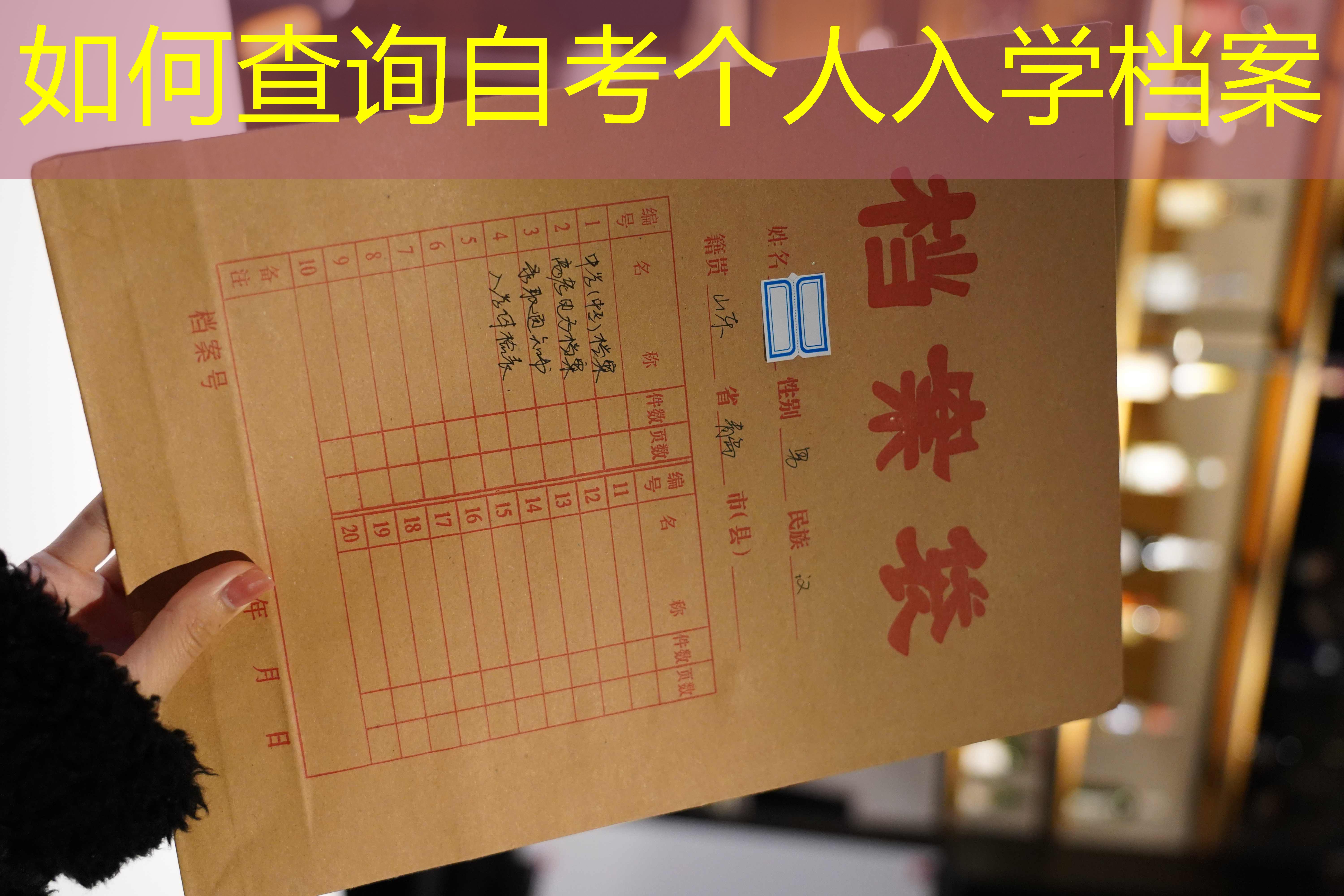 档案查询