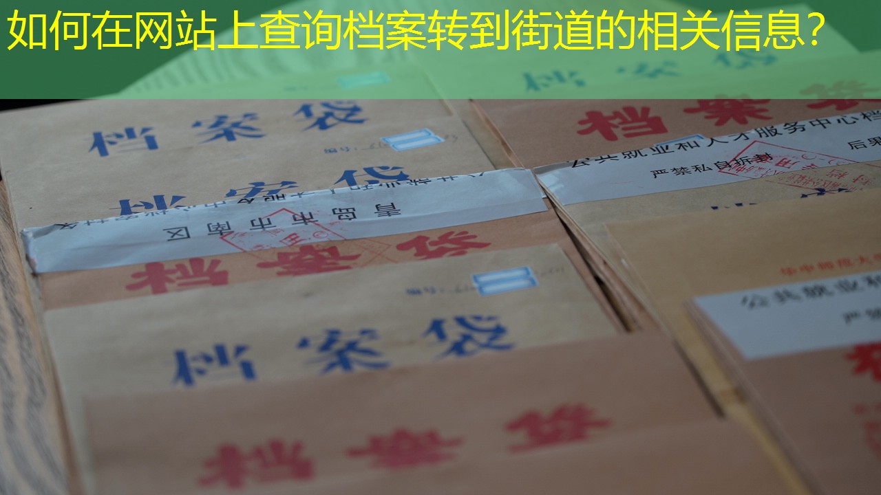 档案查询