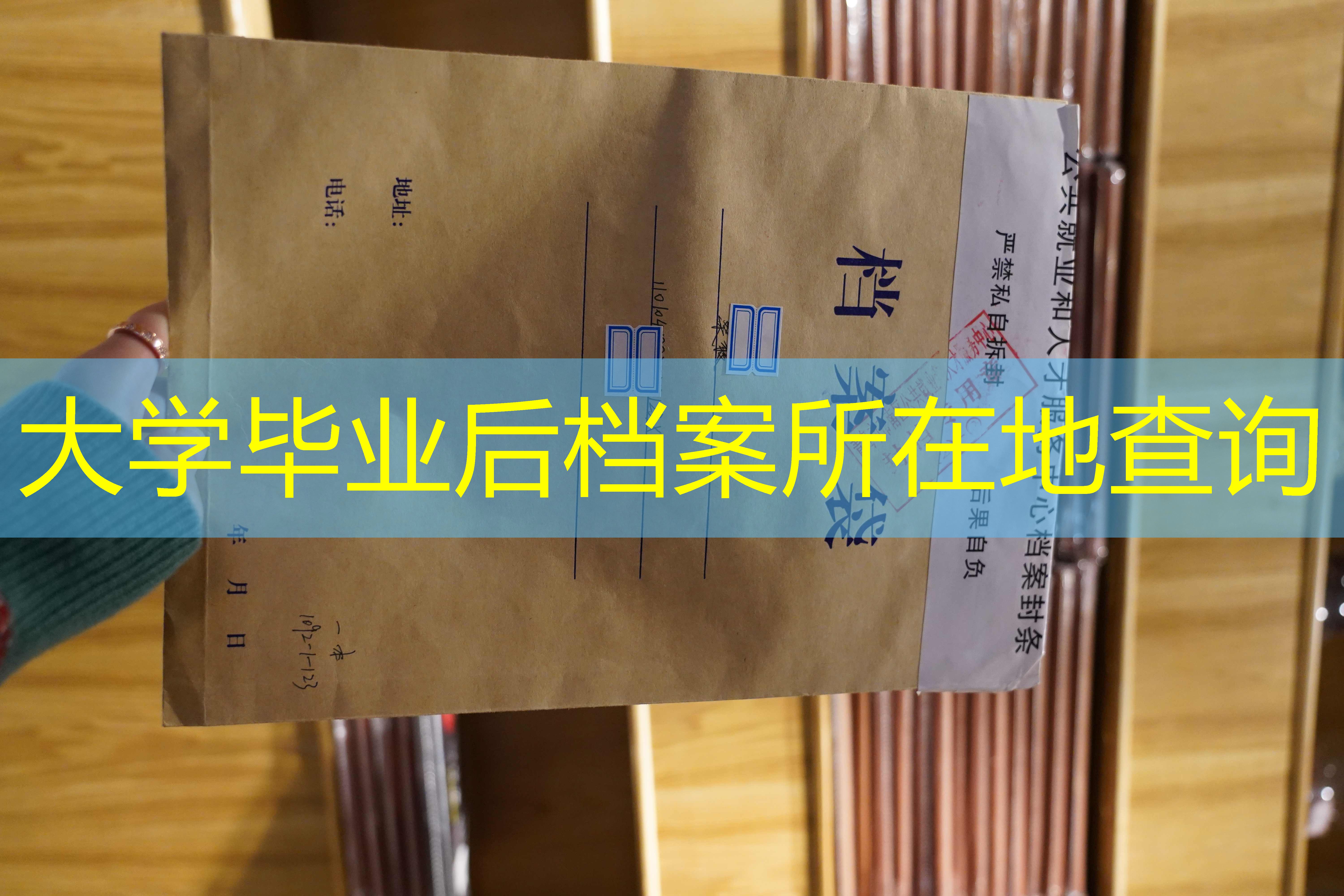 档案查询
