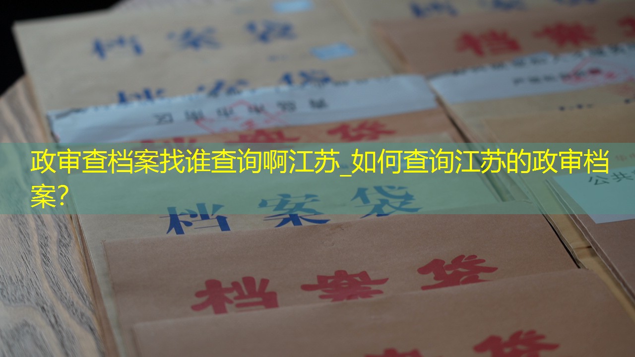 档案查询