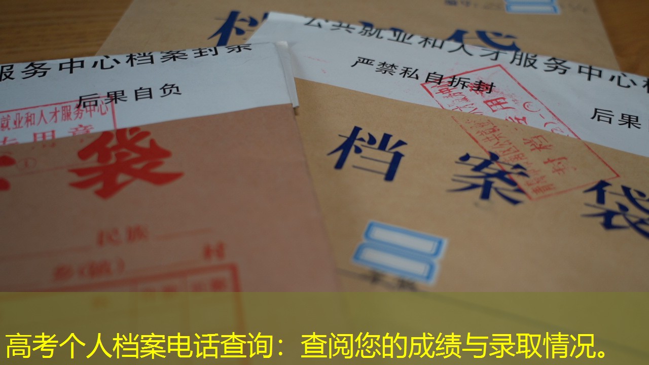 档案查询
