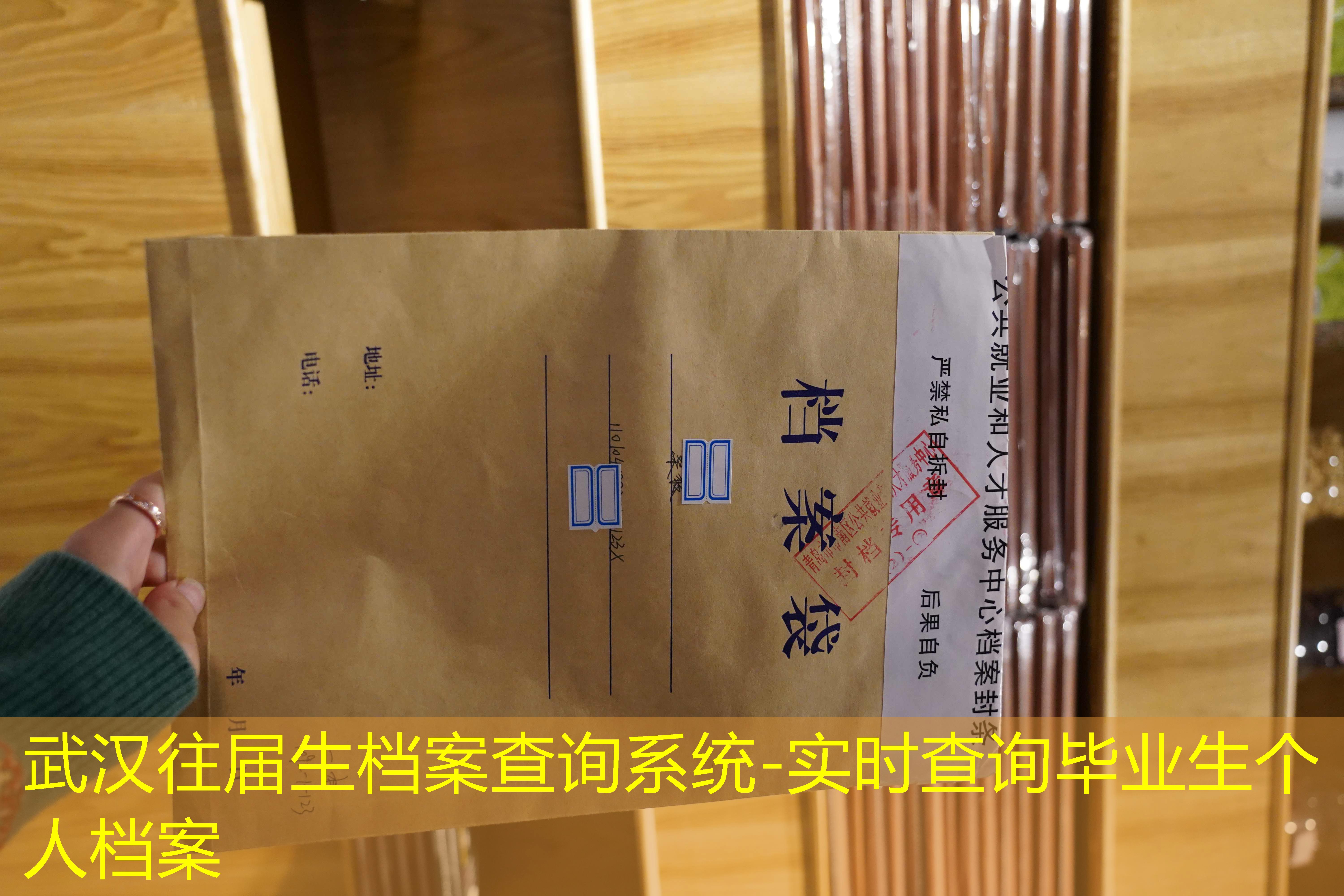 档案查询