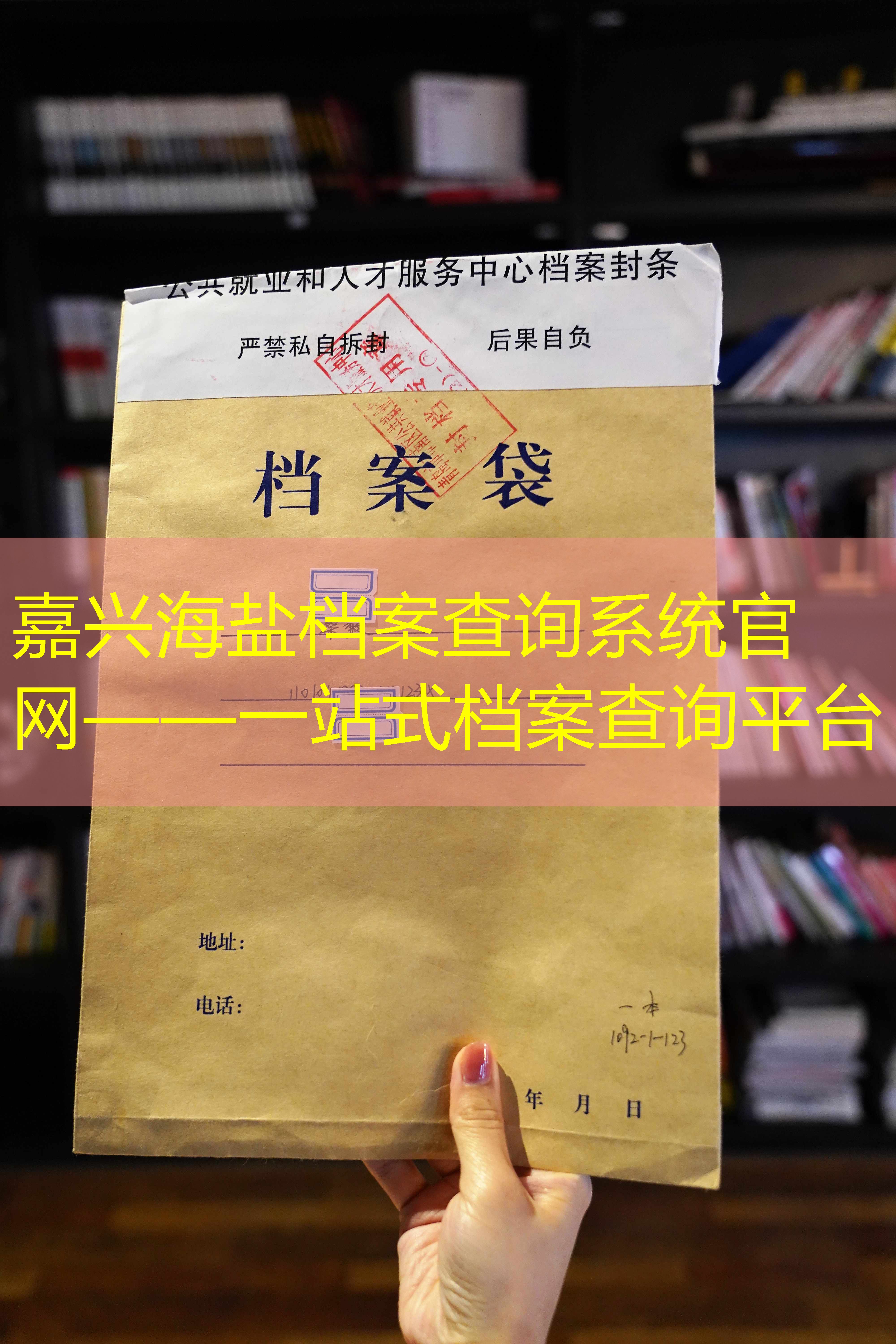档案查询