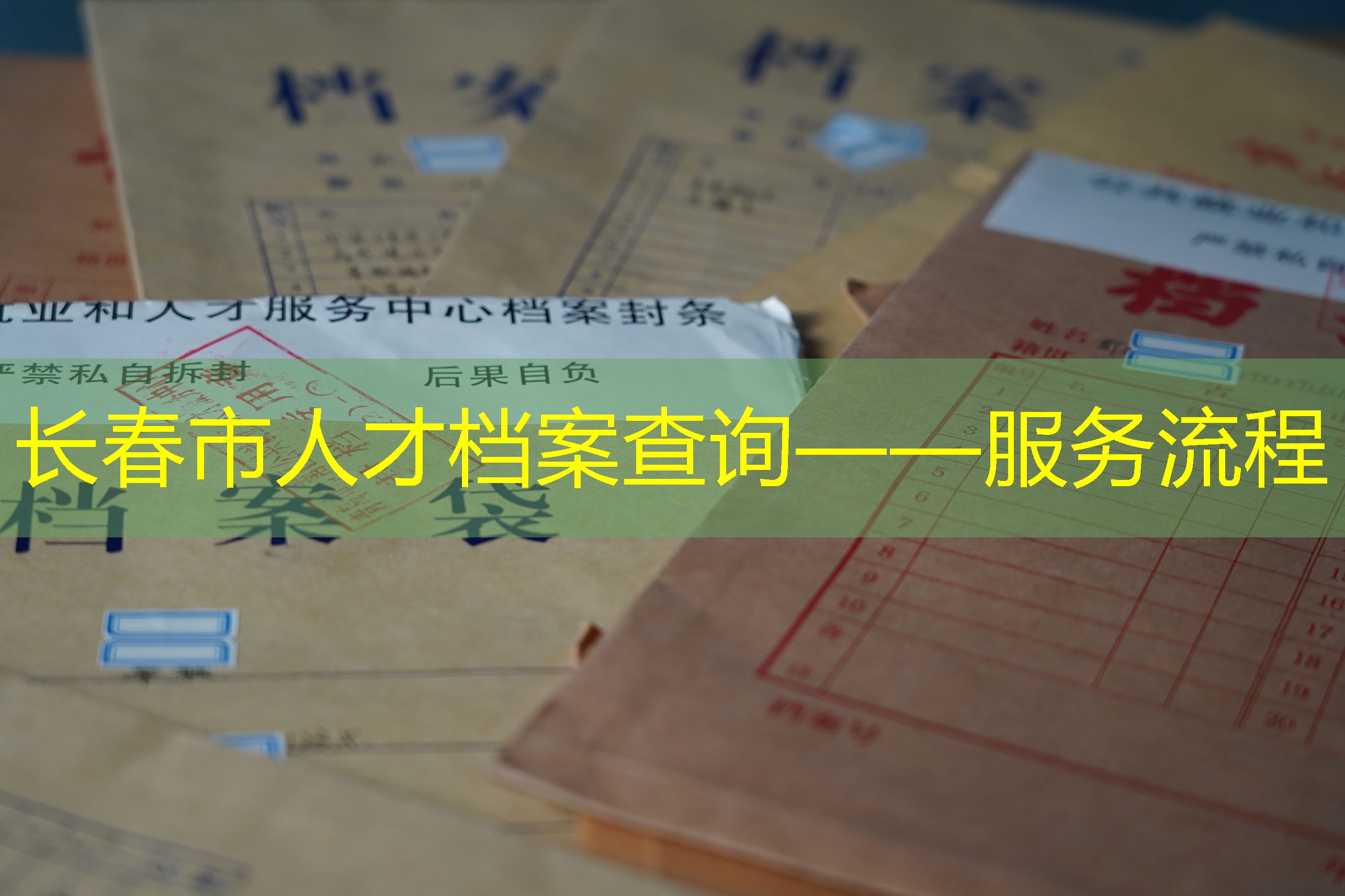 档案查询