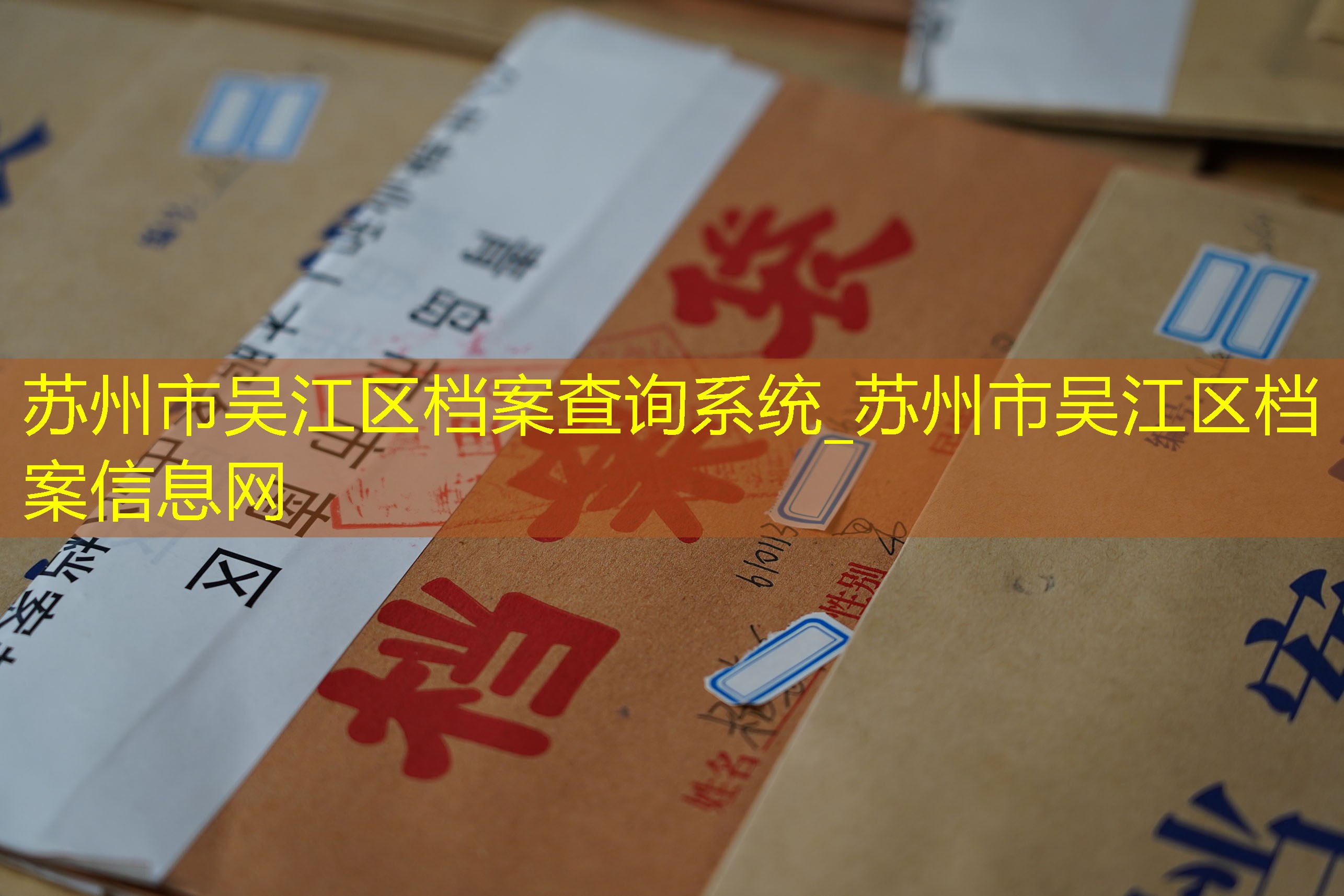 档案查询
