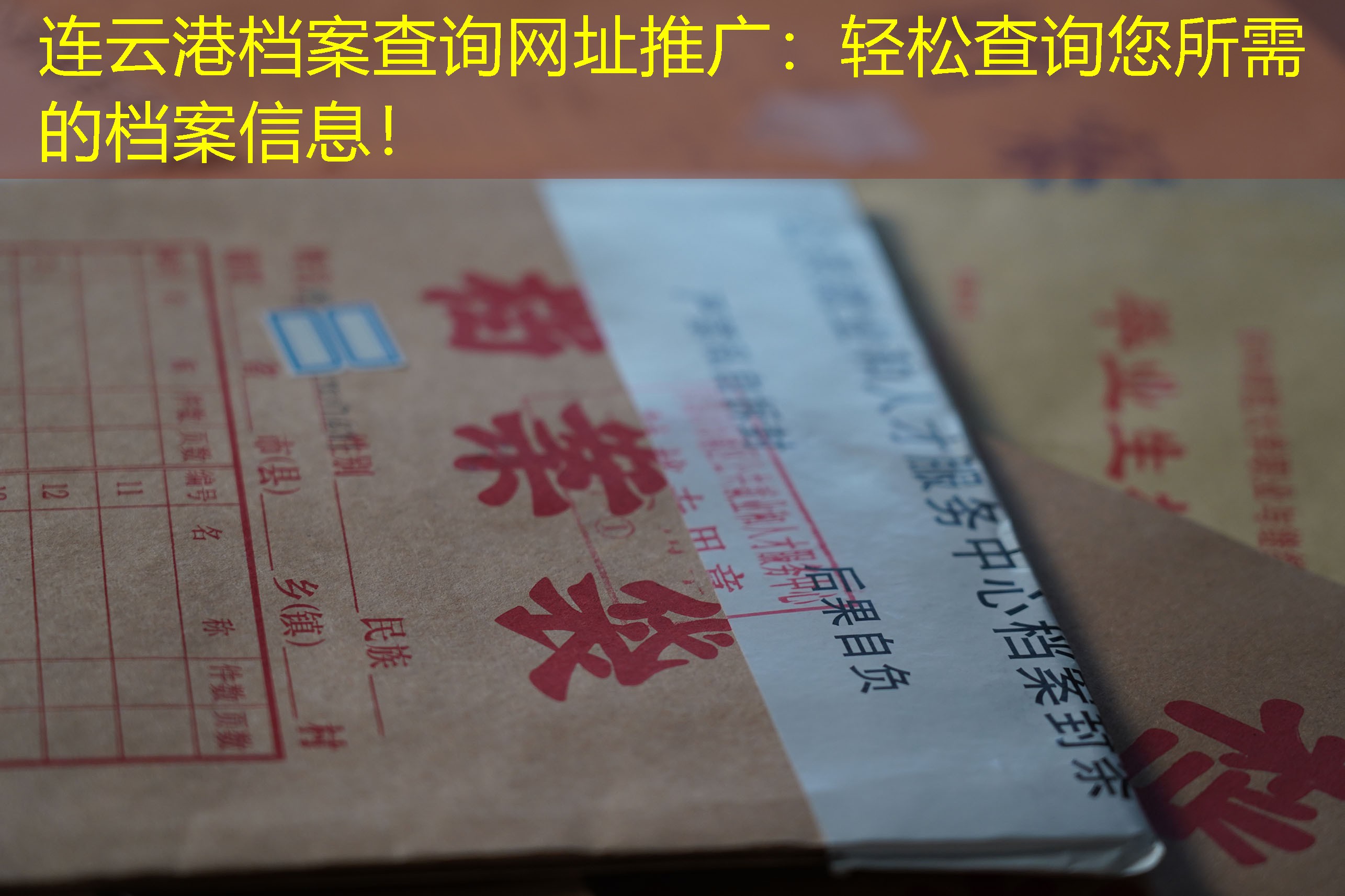 档案查询