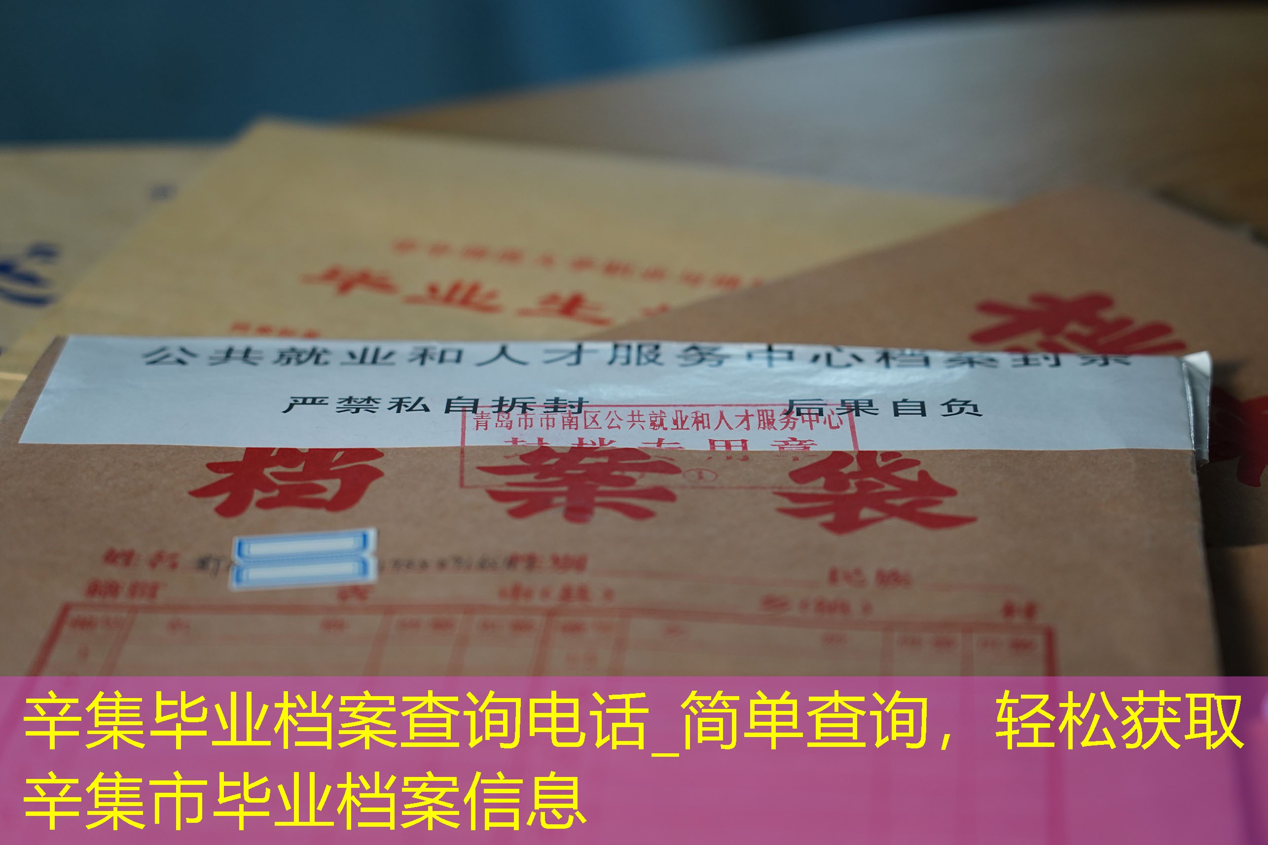 档案查询