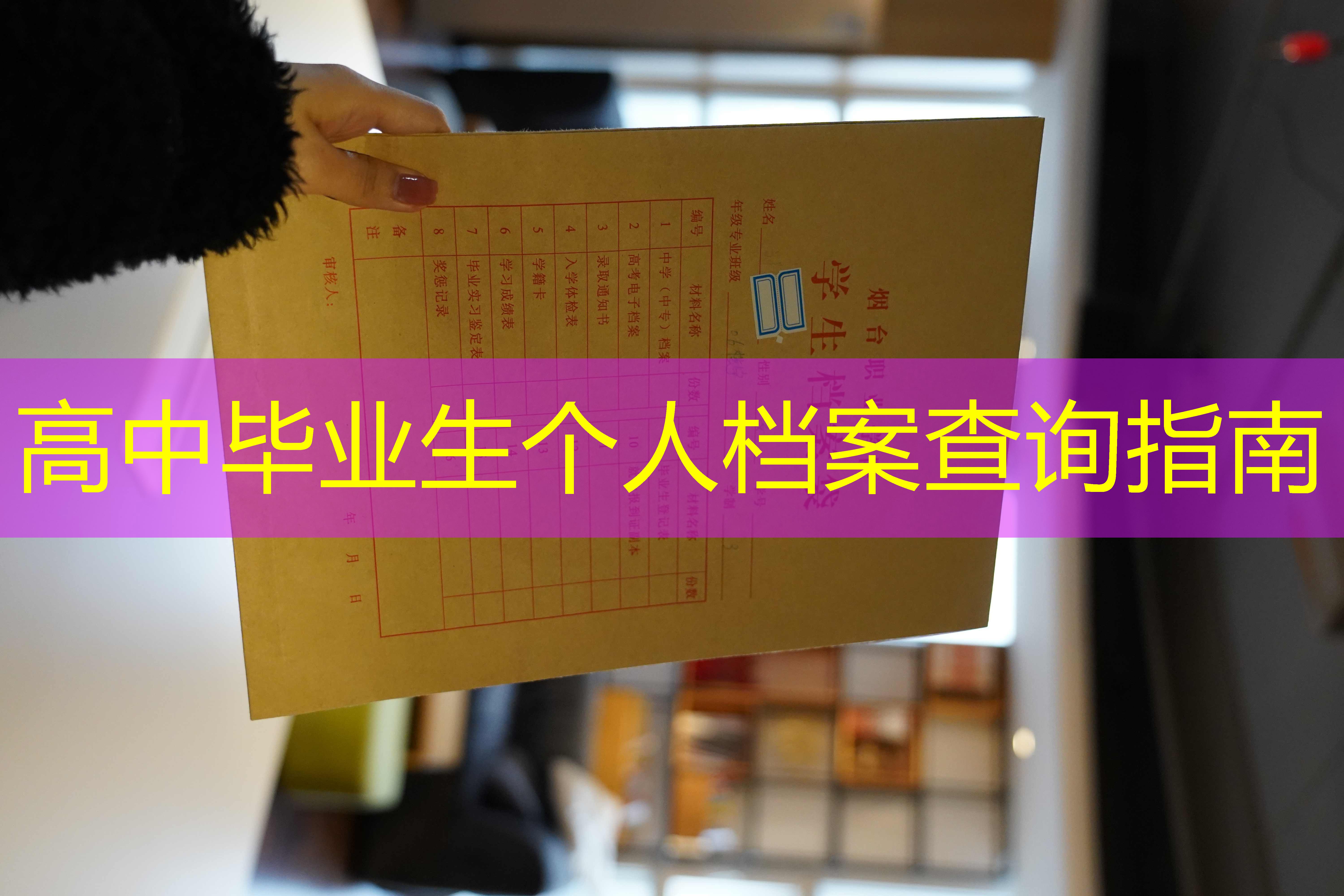 档案查询